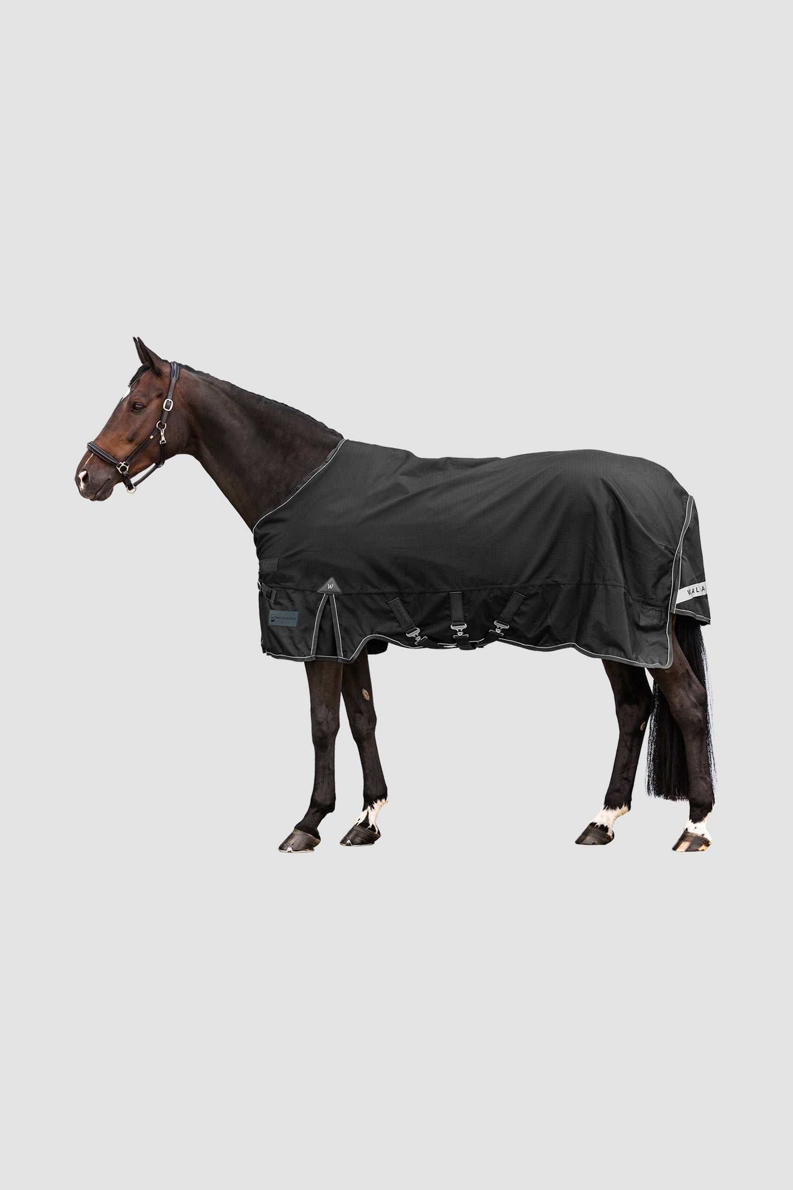 Waldhausen Outdoor Rug Scandic 300 g Dekken
