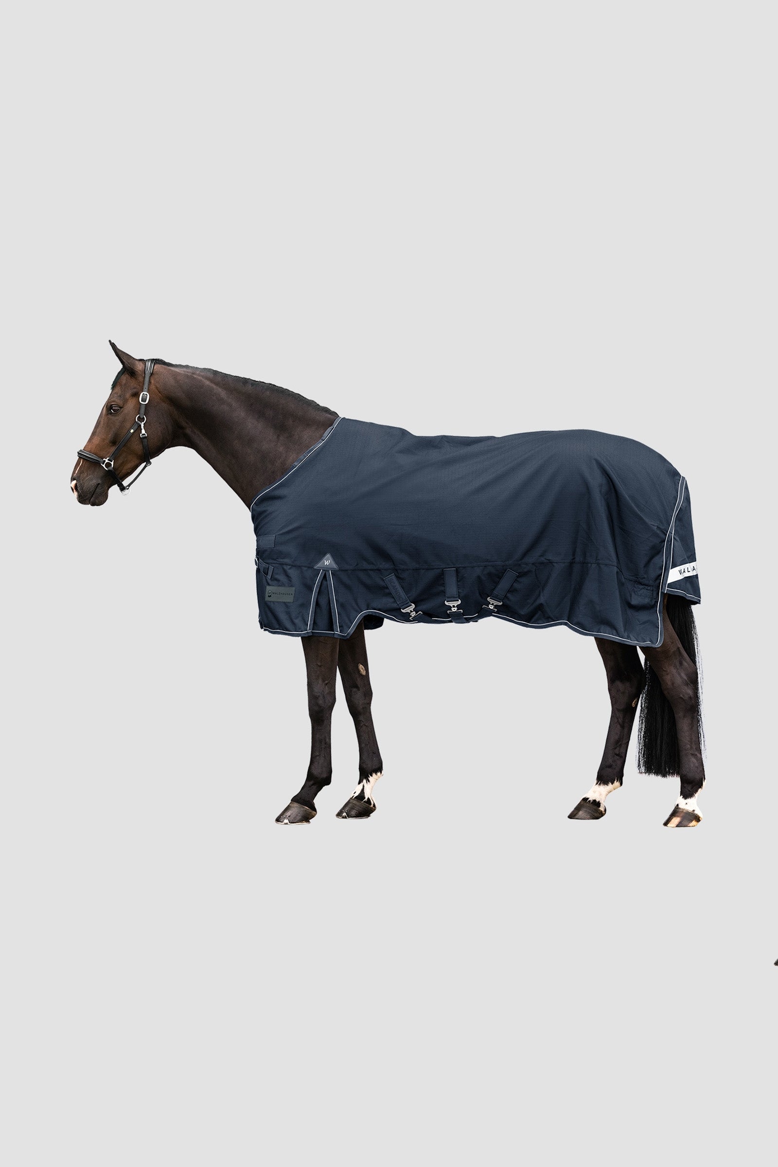 Waldhausen Outdoor Rug Scandic 300 g Dekken