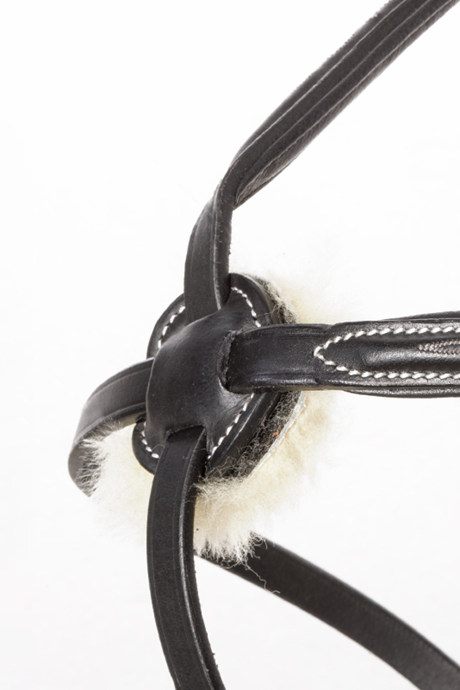 Kavalkade Diandro Grackle Bridle Bridles & Reins