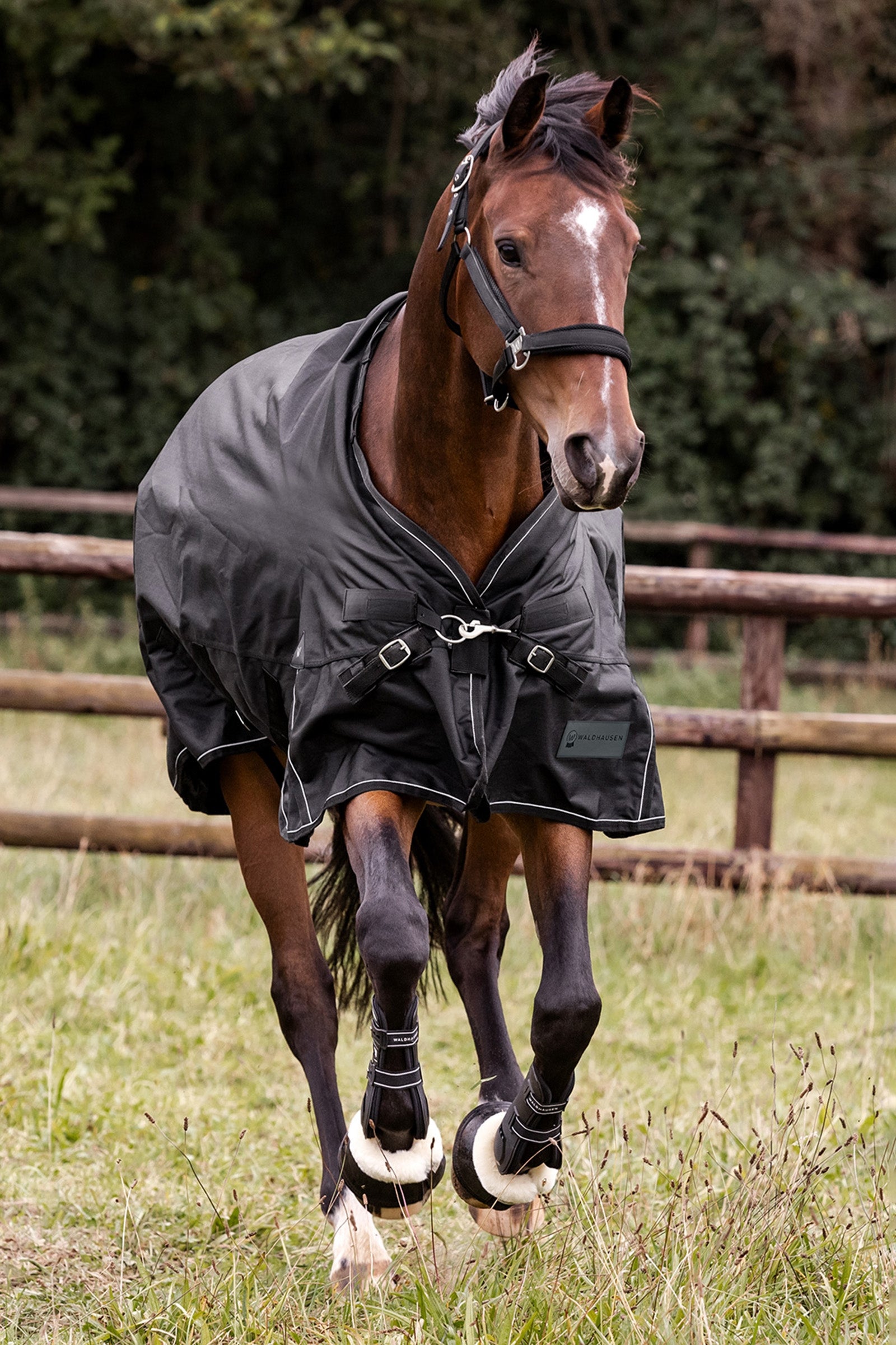 Waldhausen Outdoor Rug Scandic Multi-Layer 150g/50g Horse Rugs