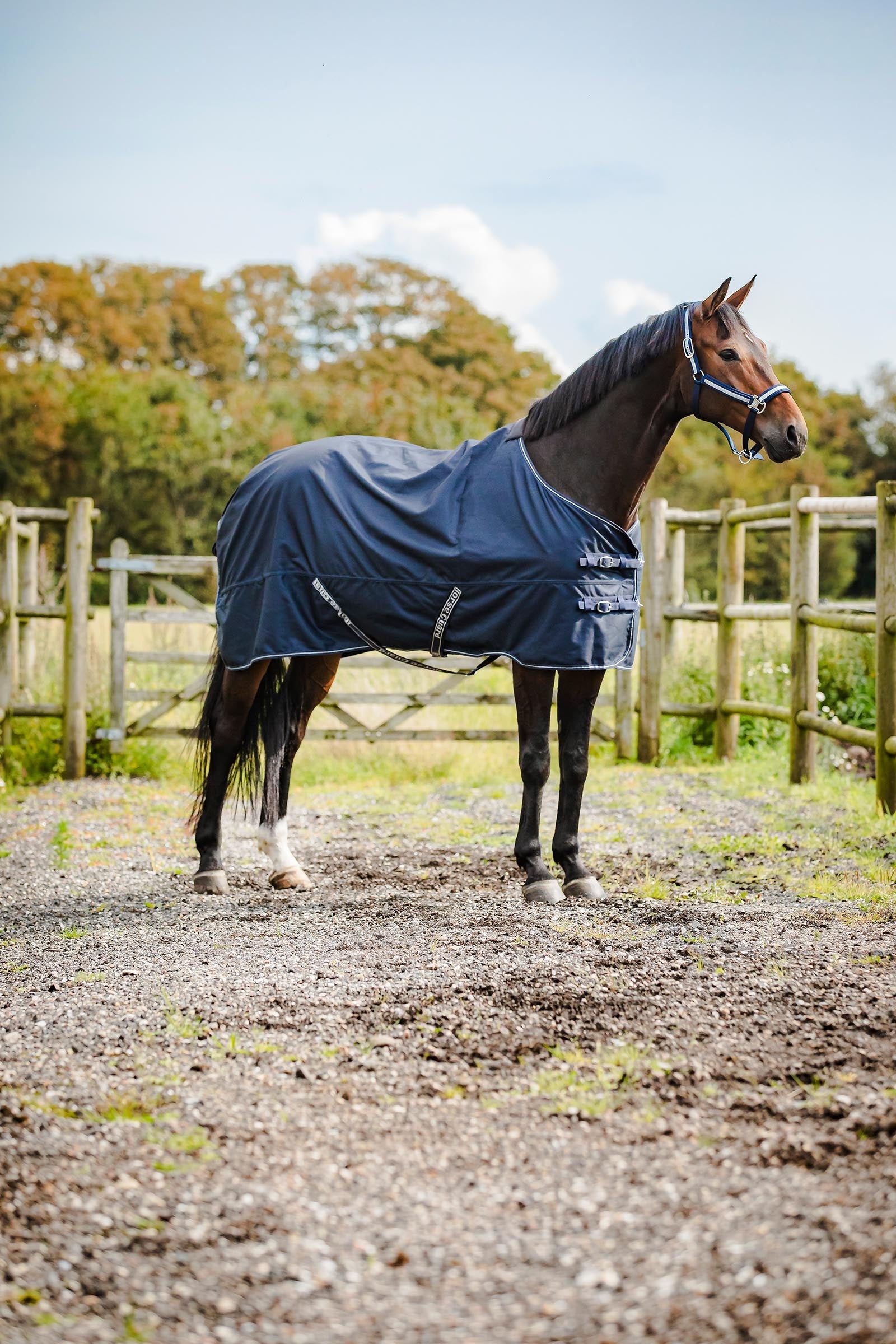 Horse Guard HorseGuard Landon 1200D Turnout Rug Standard Neck, 0 g Dekken