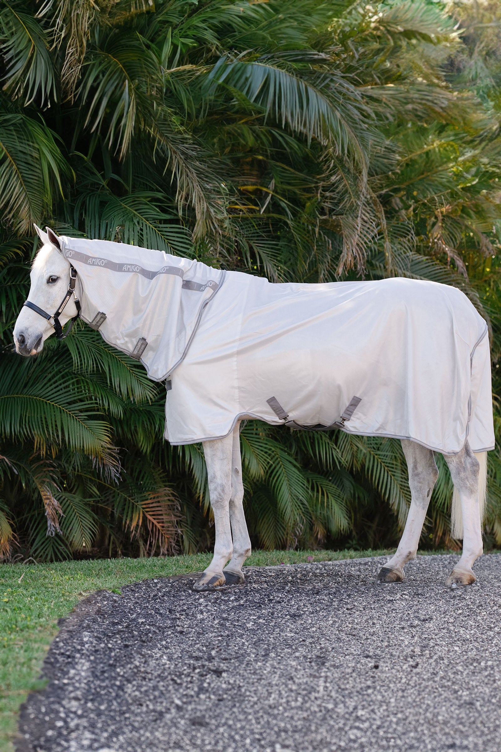 Horseware Amigo Integrert Fluedekken Dekken