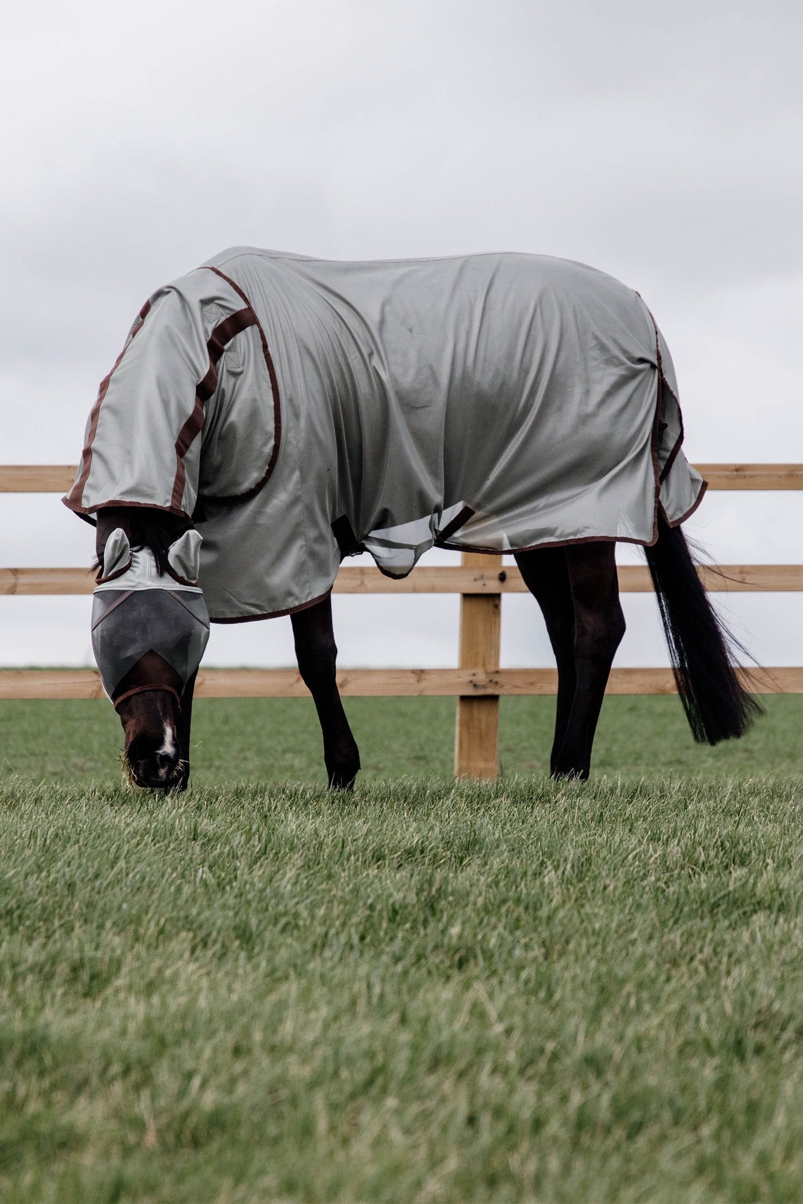 Kentucky Horsewear Classic Mesh Fly Rug Horse Rugs