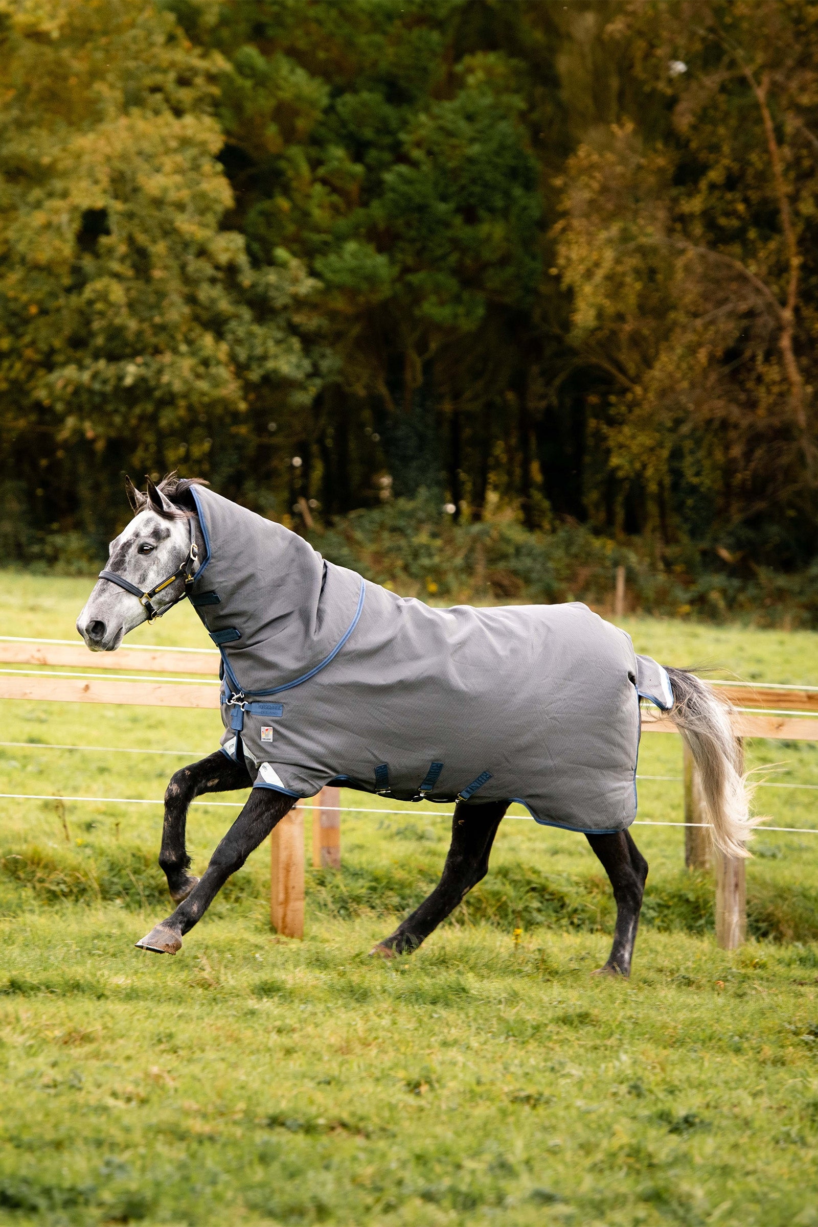 Horseware Rhino Plus HexSTOP Beitedekken, 0g Dekken