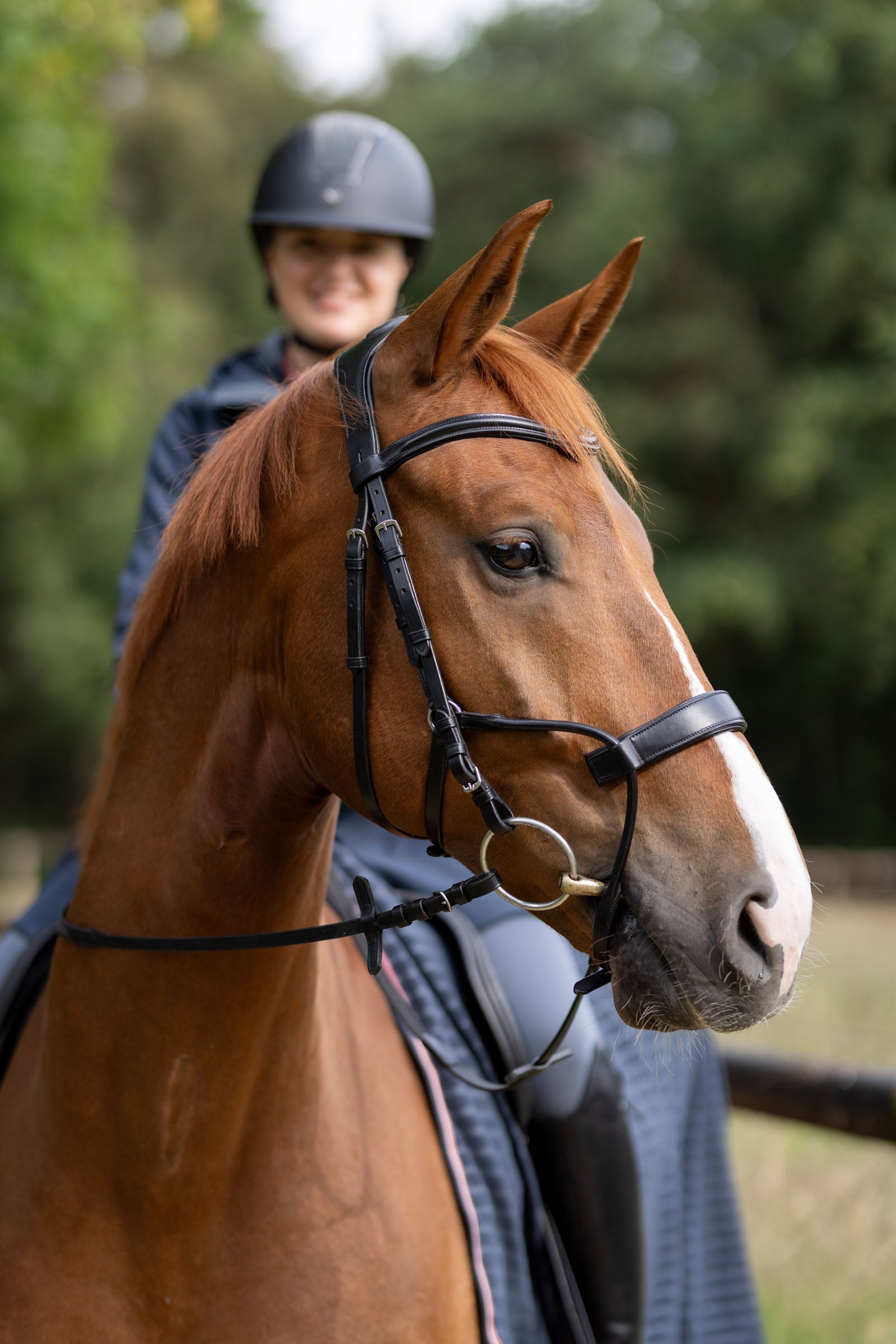 Horze Chio Bridle Bridles & Reins