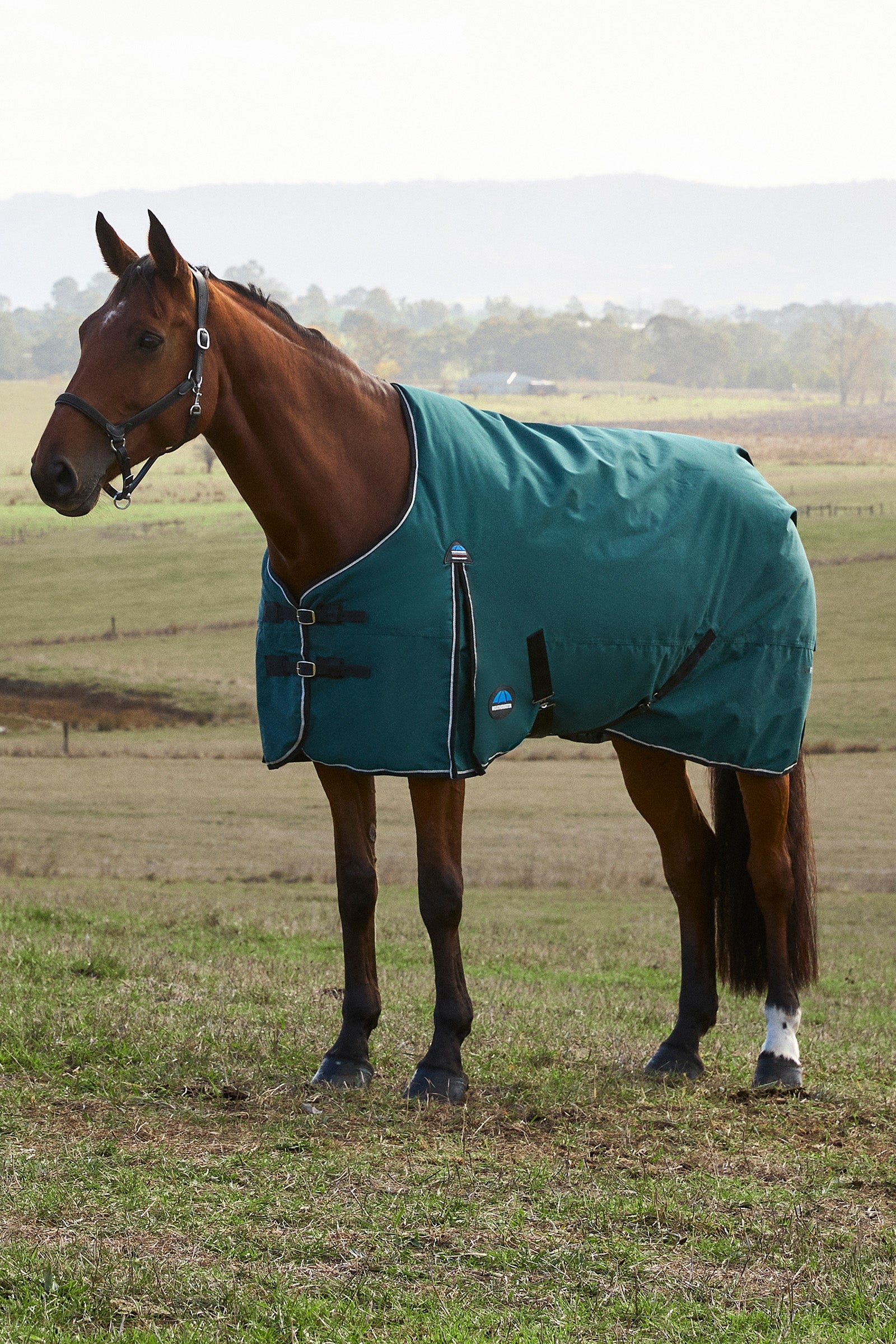Weatherbeeta ComFiTec Classic Turnout Standard Neck 220G Dekken