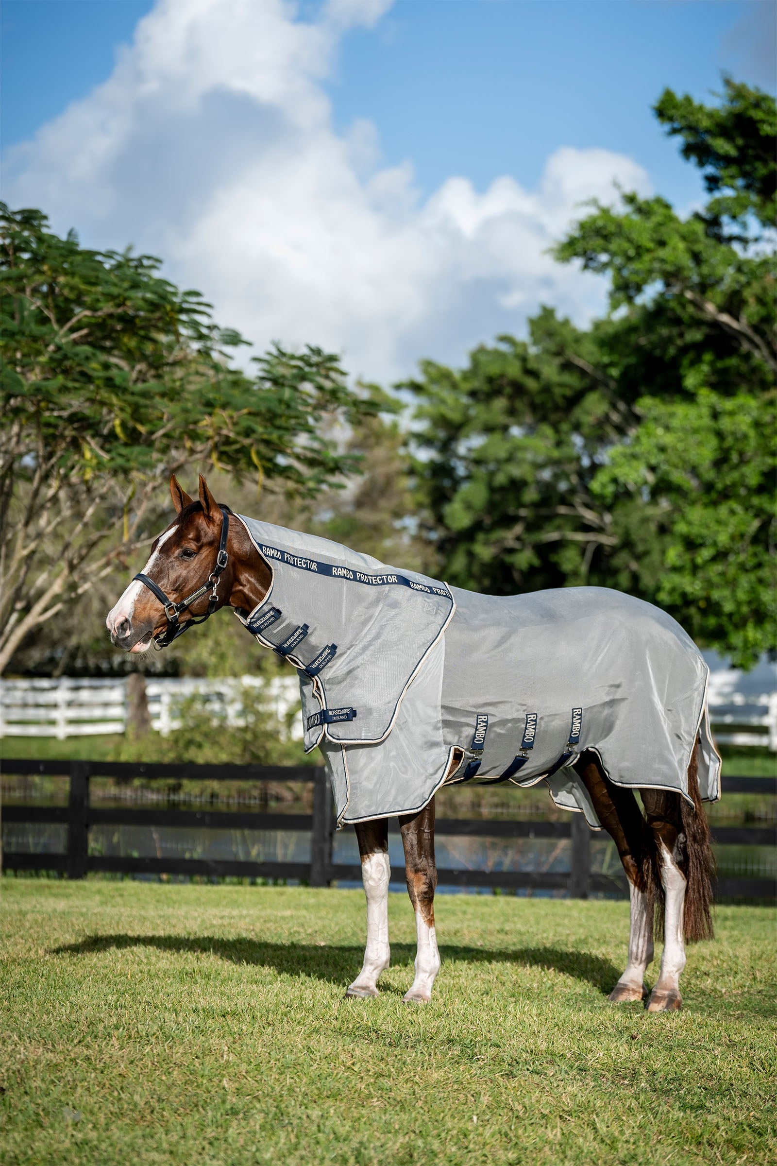Horseware Rambo Protector Fieldsafe Plus Dekken