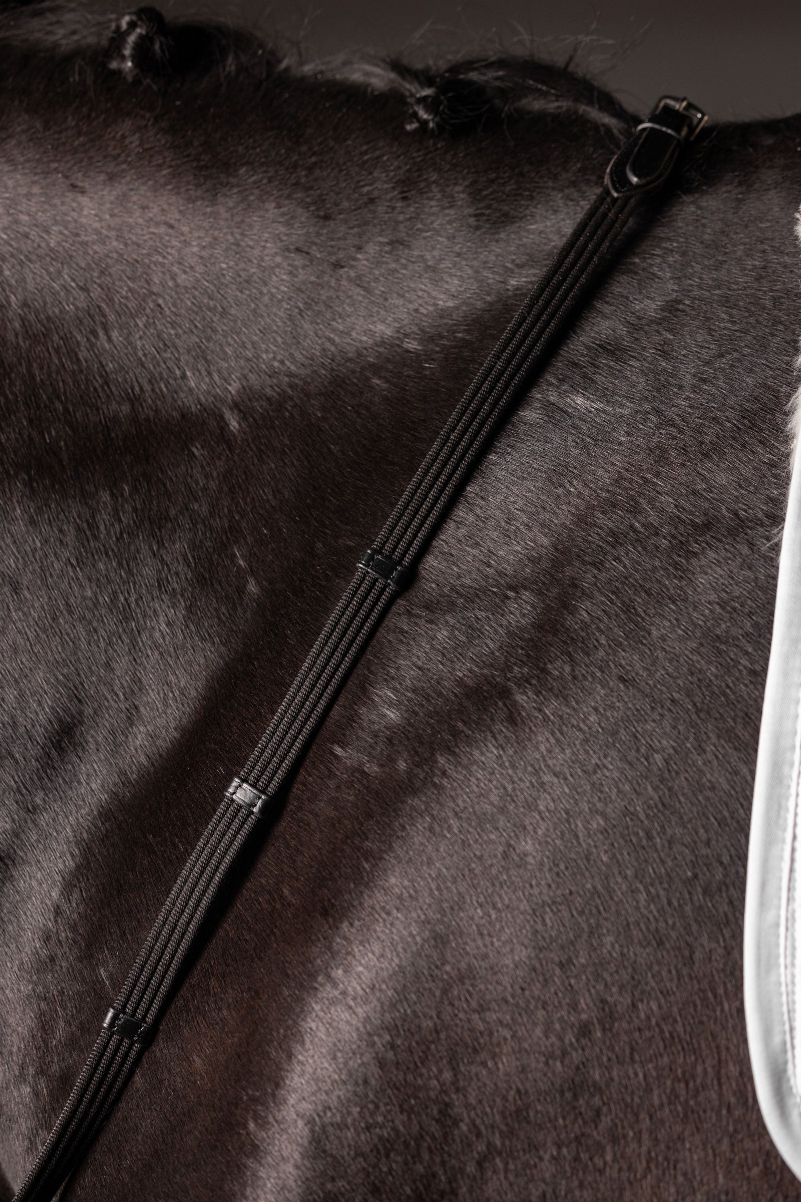 LeMieux Continental Webbed Reins Bridles & Reins