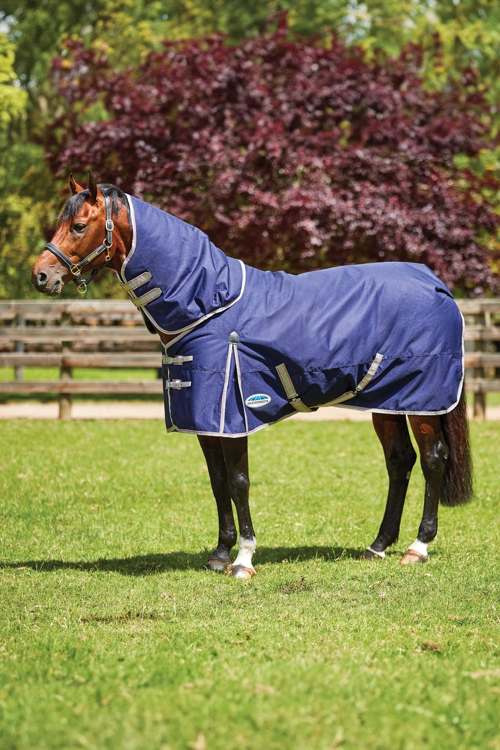 Weatherbeeta Comfitec Essential Detach-a-Neck Medium Turnout Rug, 220g Dekken