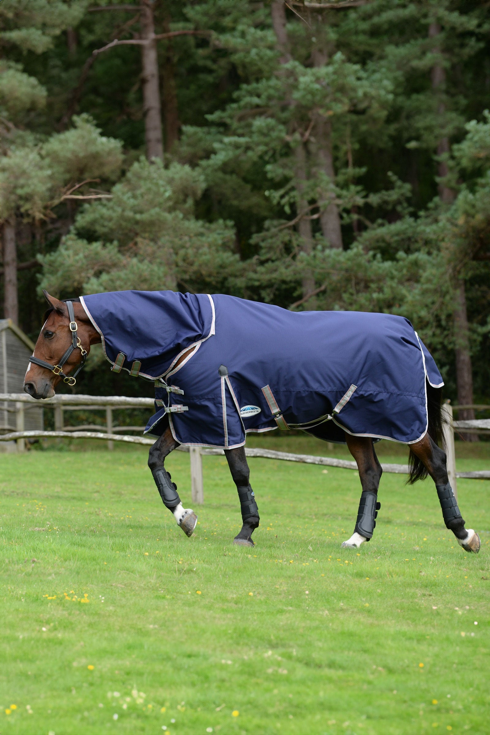 Weatherbeeta Comfitec Essential Detach-a-Neck Medium Turnout Rug, 220g Horse Rugs