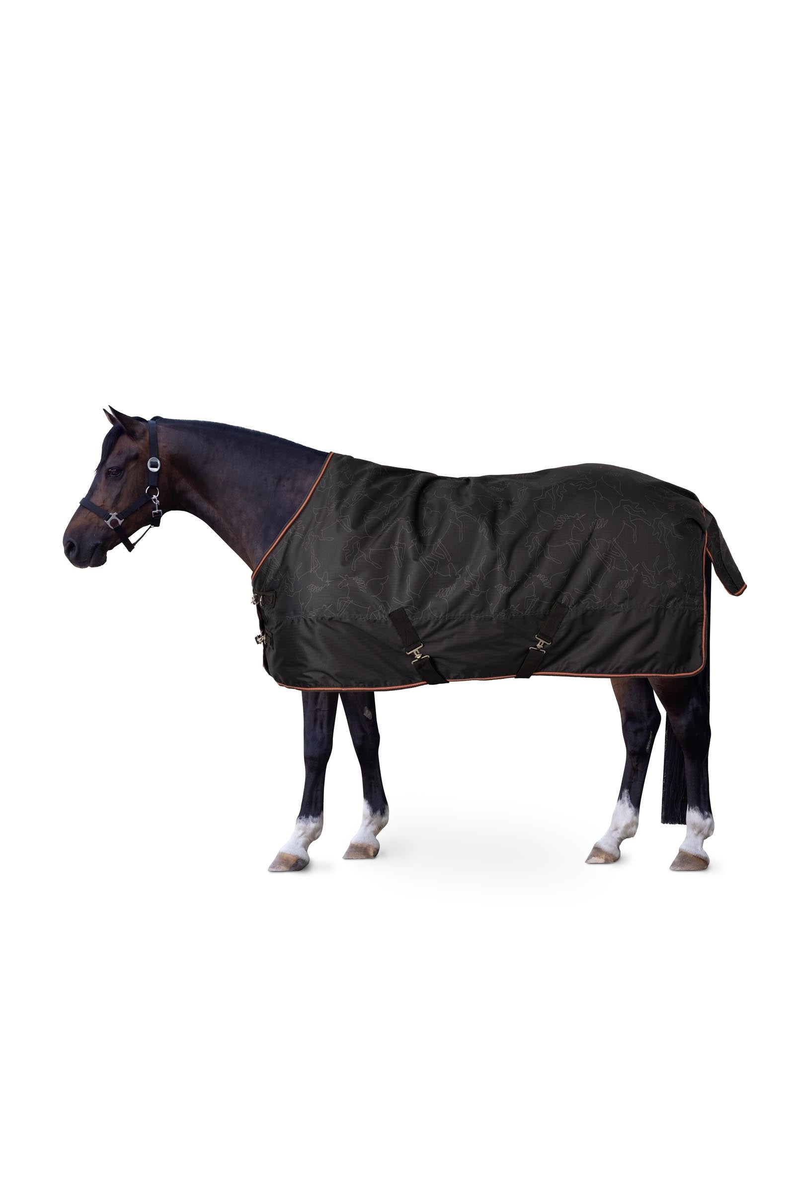 Horze Pegasus ponnidekken 200 g/m² Dekken