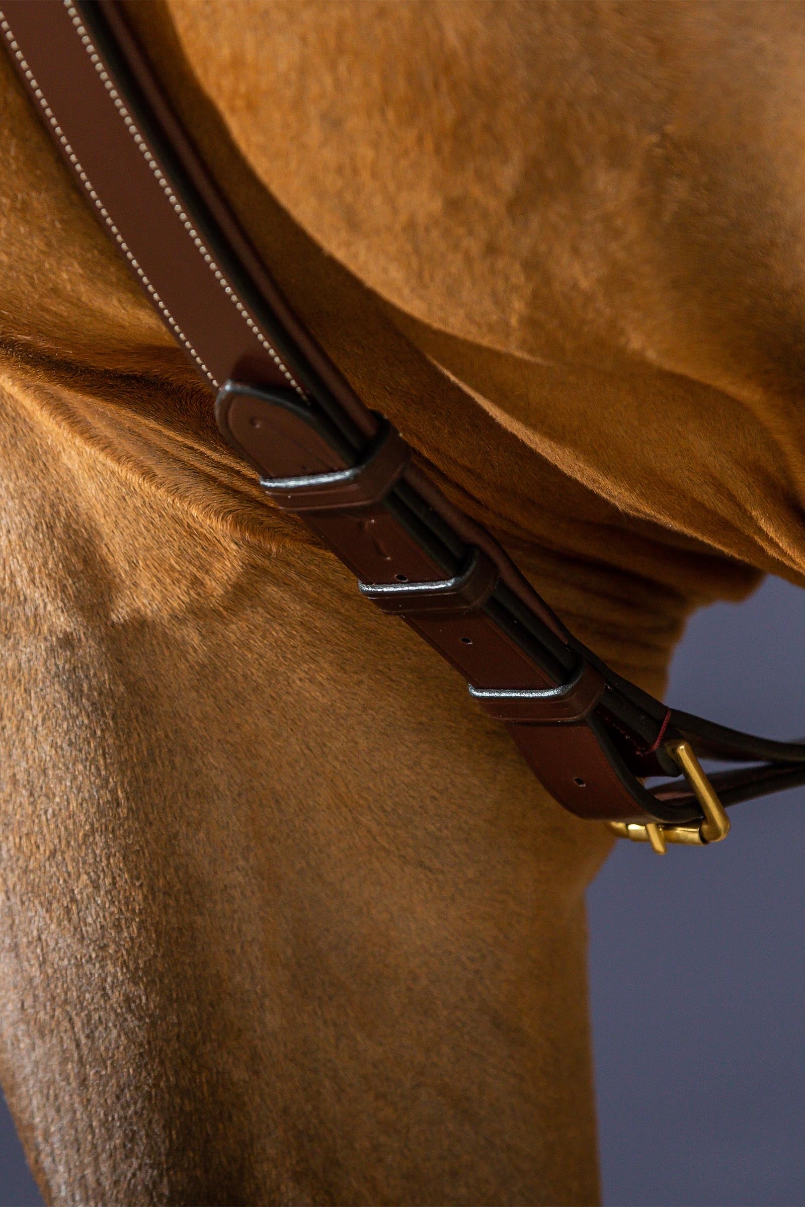 Dy'on D Collection Long Bridge Breastplate Bridles & Reins