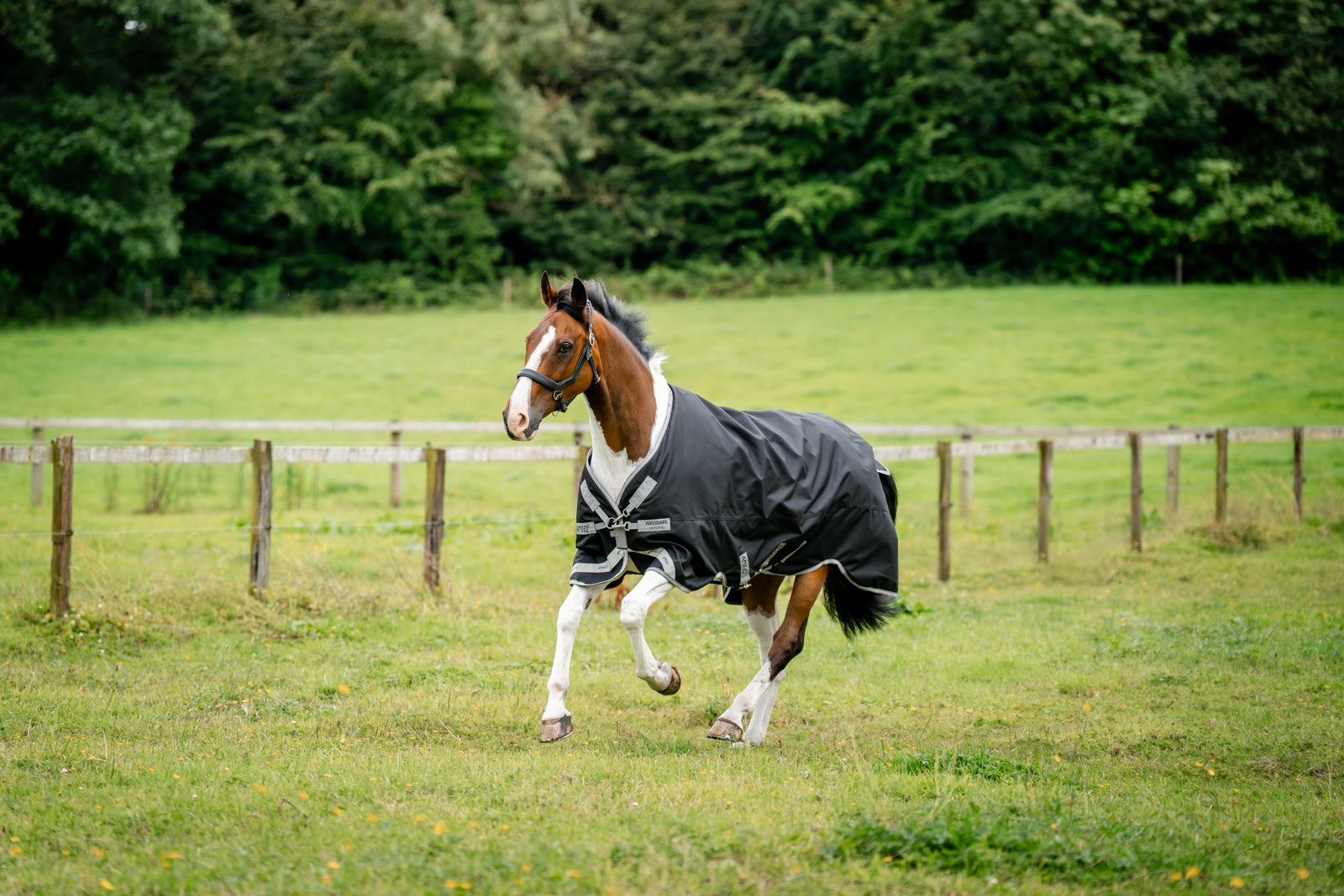Horseware Amigo 1200D utedekken, 100 g Dekken