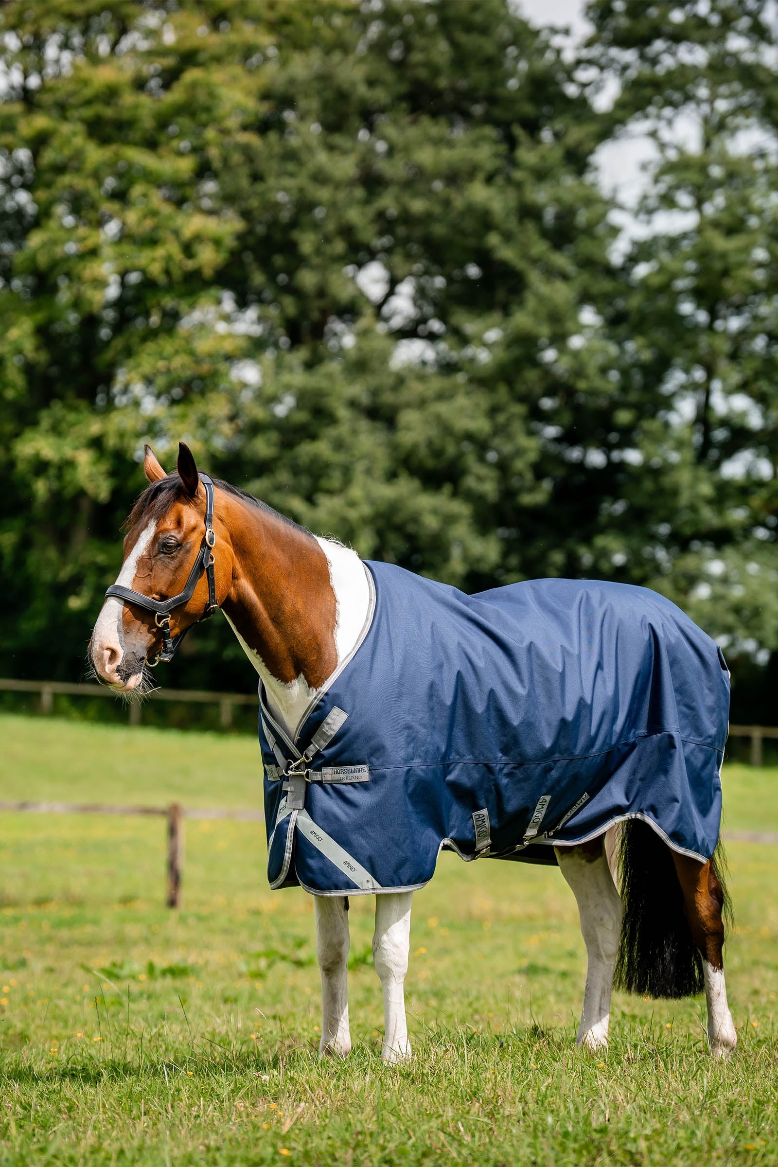 Horseware Amigo 1200D utedekken, 100 g Dekken