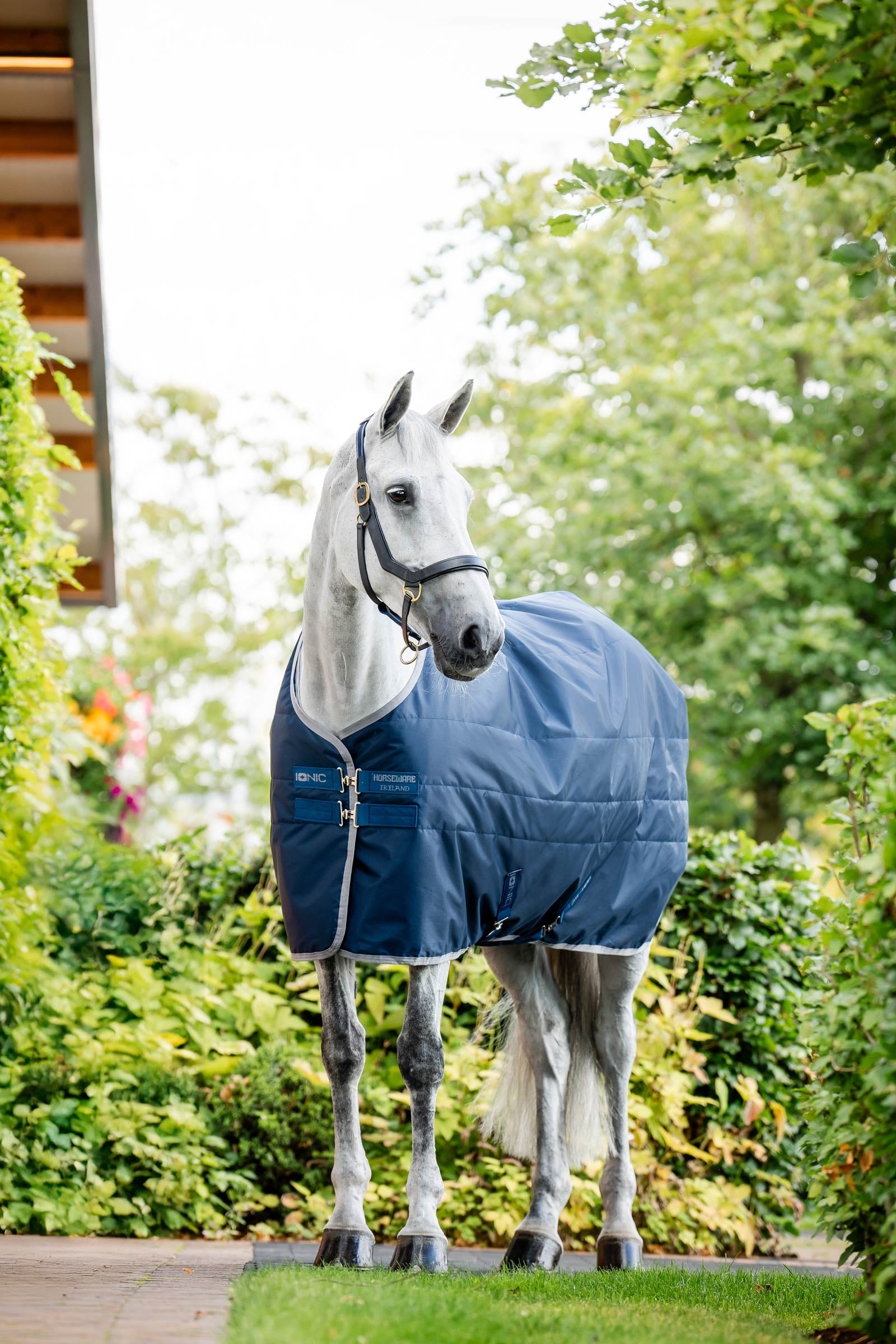Horseware Ionic Therapy Stalldekken, 50g Dekken