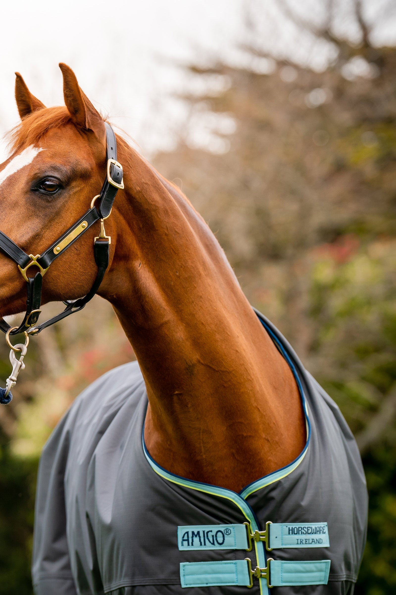 Horseware Amigo Hero Ripstop Plus Turnout Rug With Detachable Neck, 200g Horse Rugs