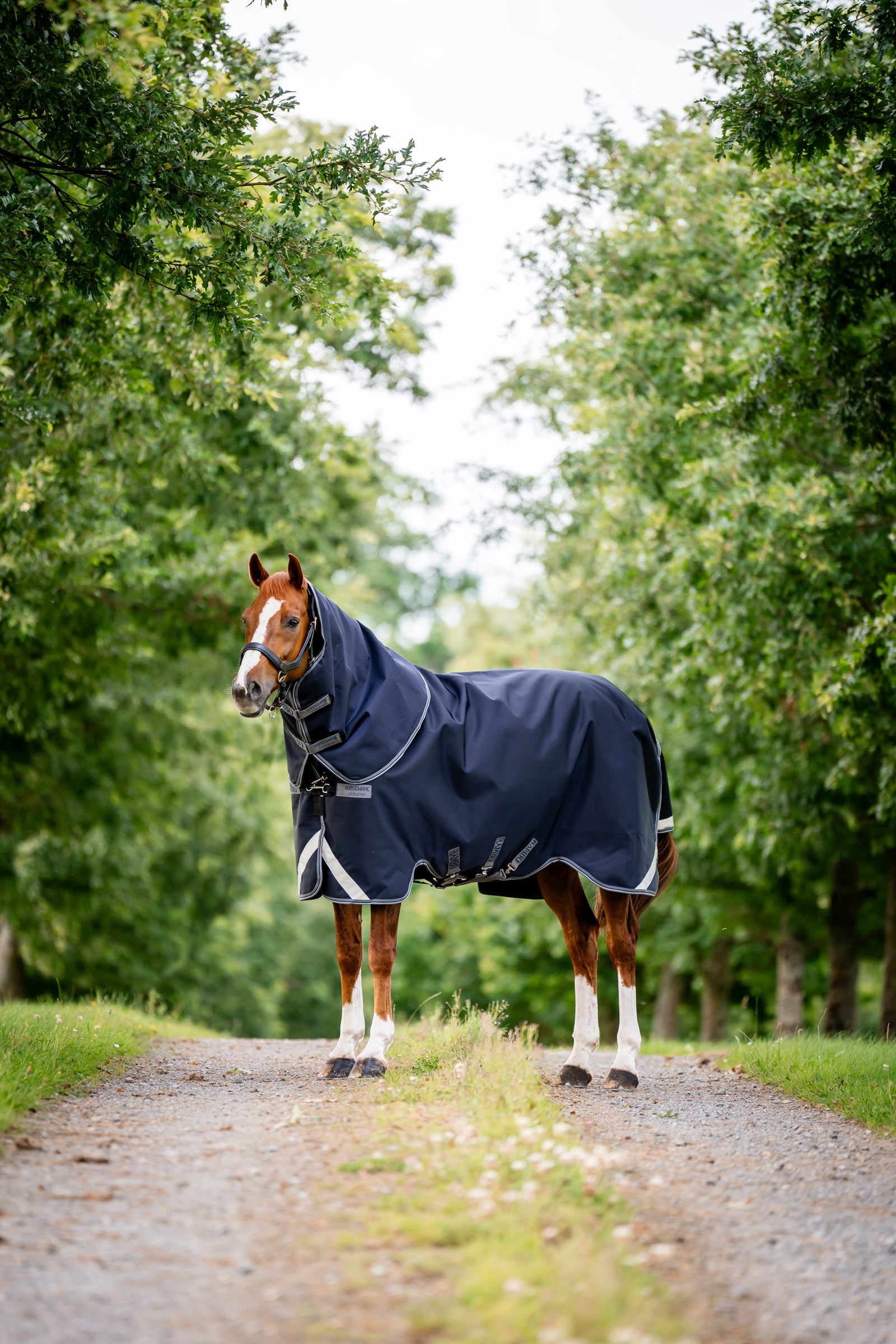 Horseware Rambo 1680D Plus Vario Layer utedekken, 250 g Dekken