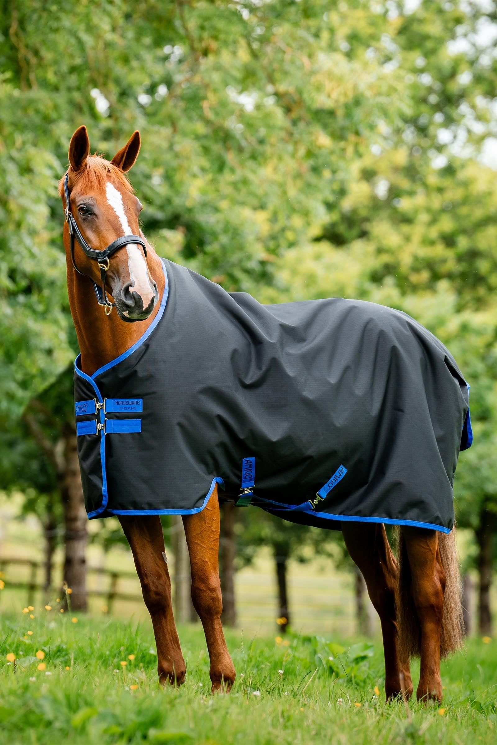 Horseware Amigo Ripstop 900D utedekken med fleecefôr, 50 g Dekken
