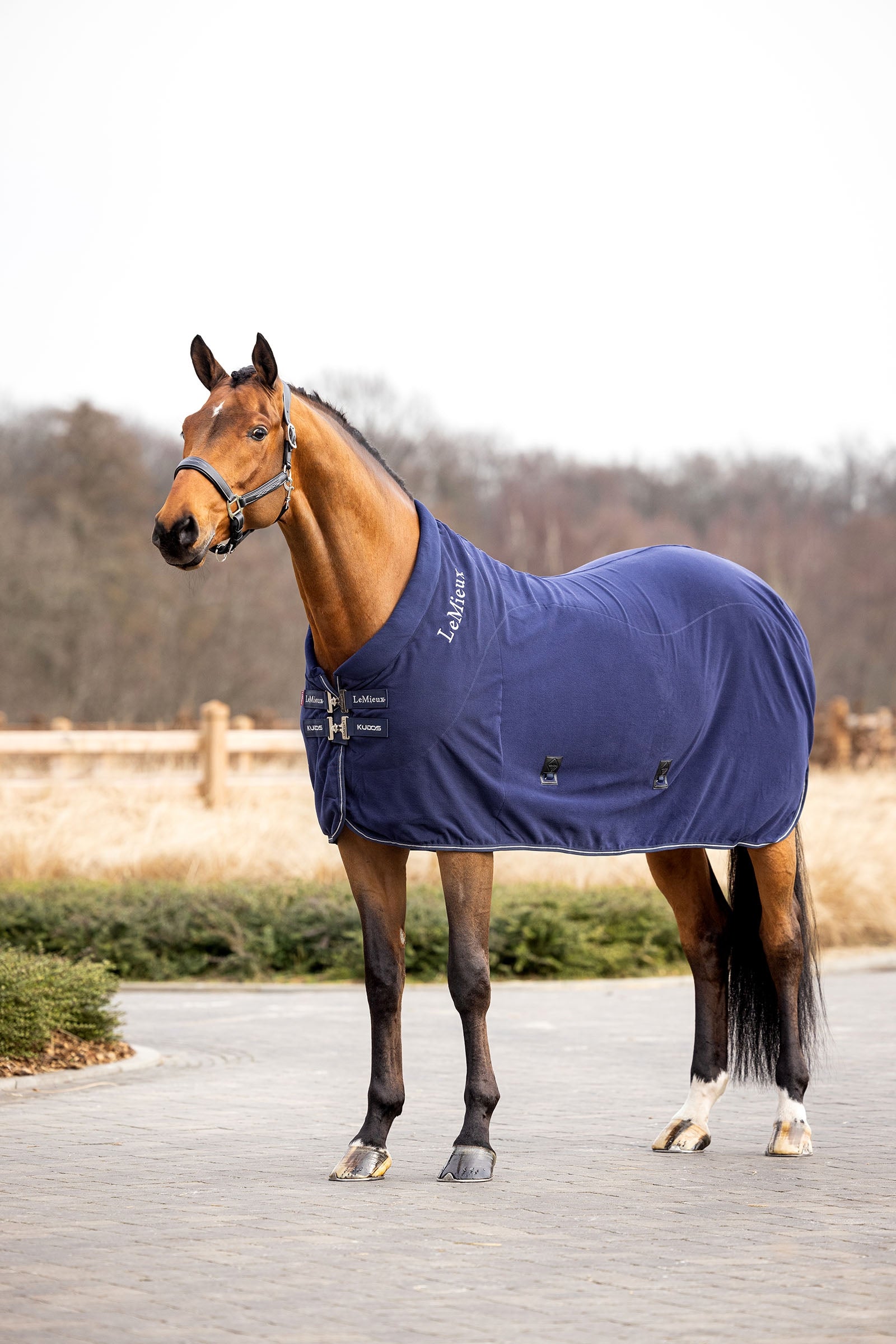 LeMieux Kudos fleece cooler-dekken Dekken