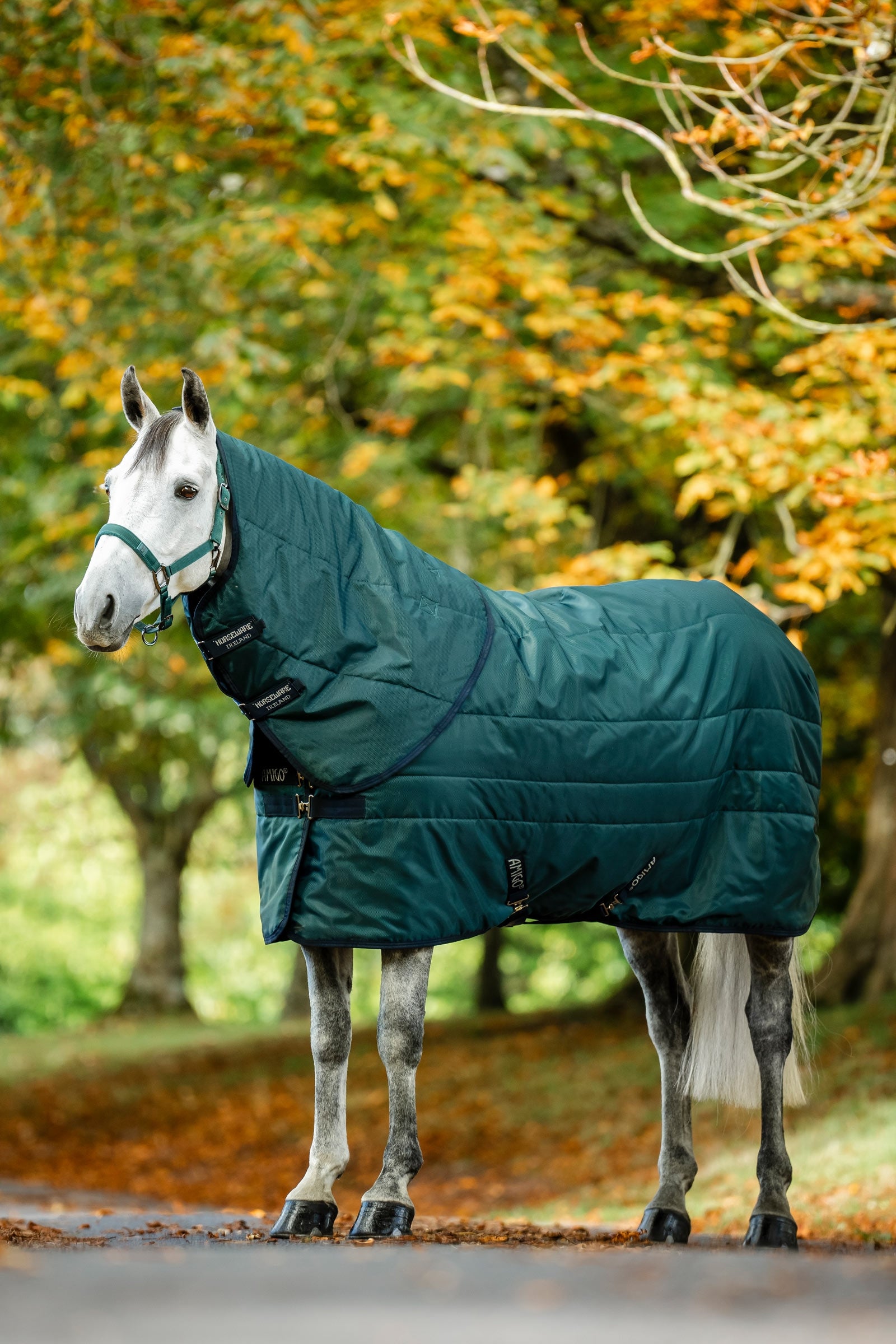 Horseware Amigo Ripstop Insulator Stalldekken 50g Dekken