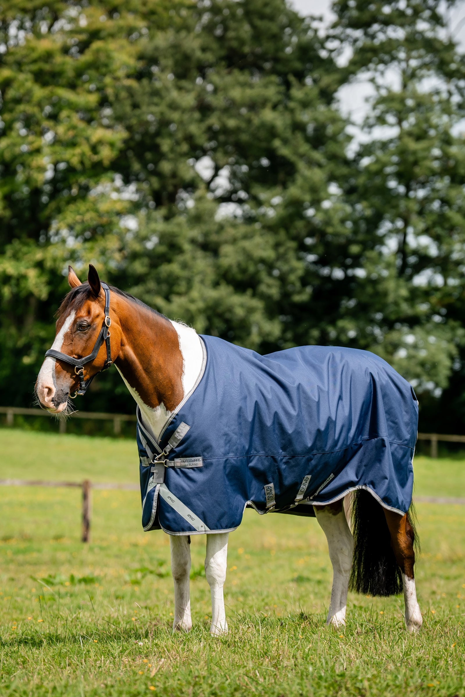 Horseware Amigo 1200D utedekken, 250 g Dekken