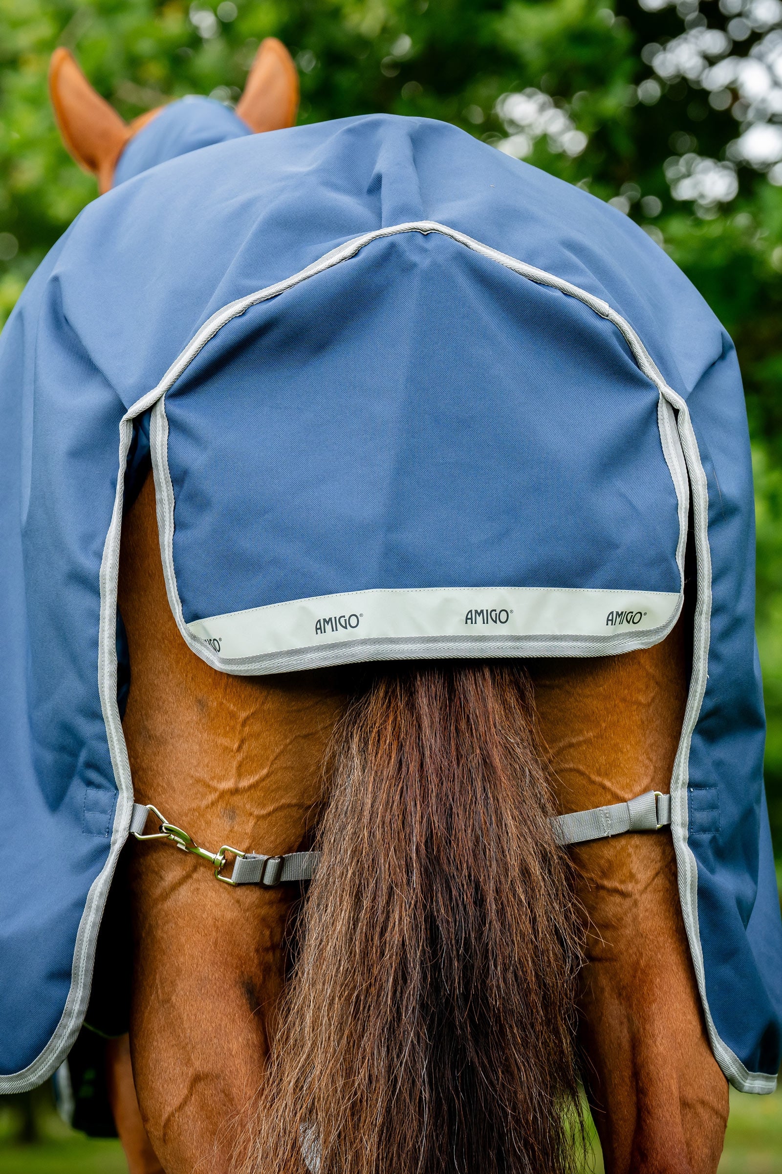 Horseware Amigo 1200D Turnout Rug, 250 g Horse Rugs