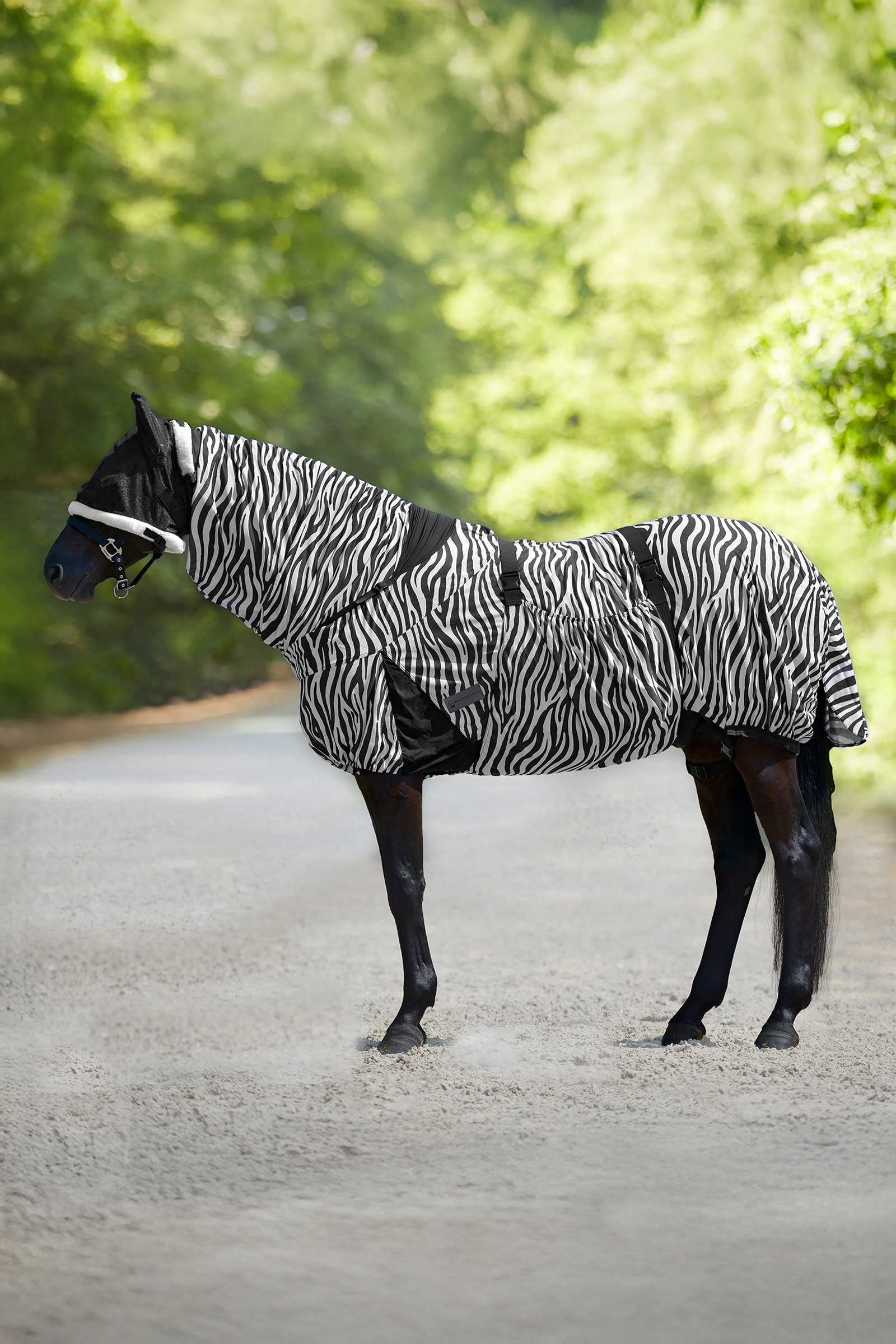 Waldhausen Zebra eksemdekken Dekken