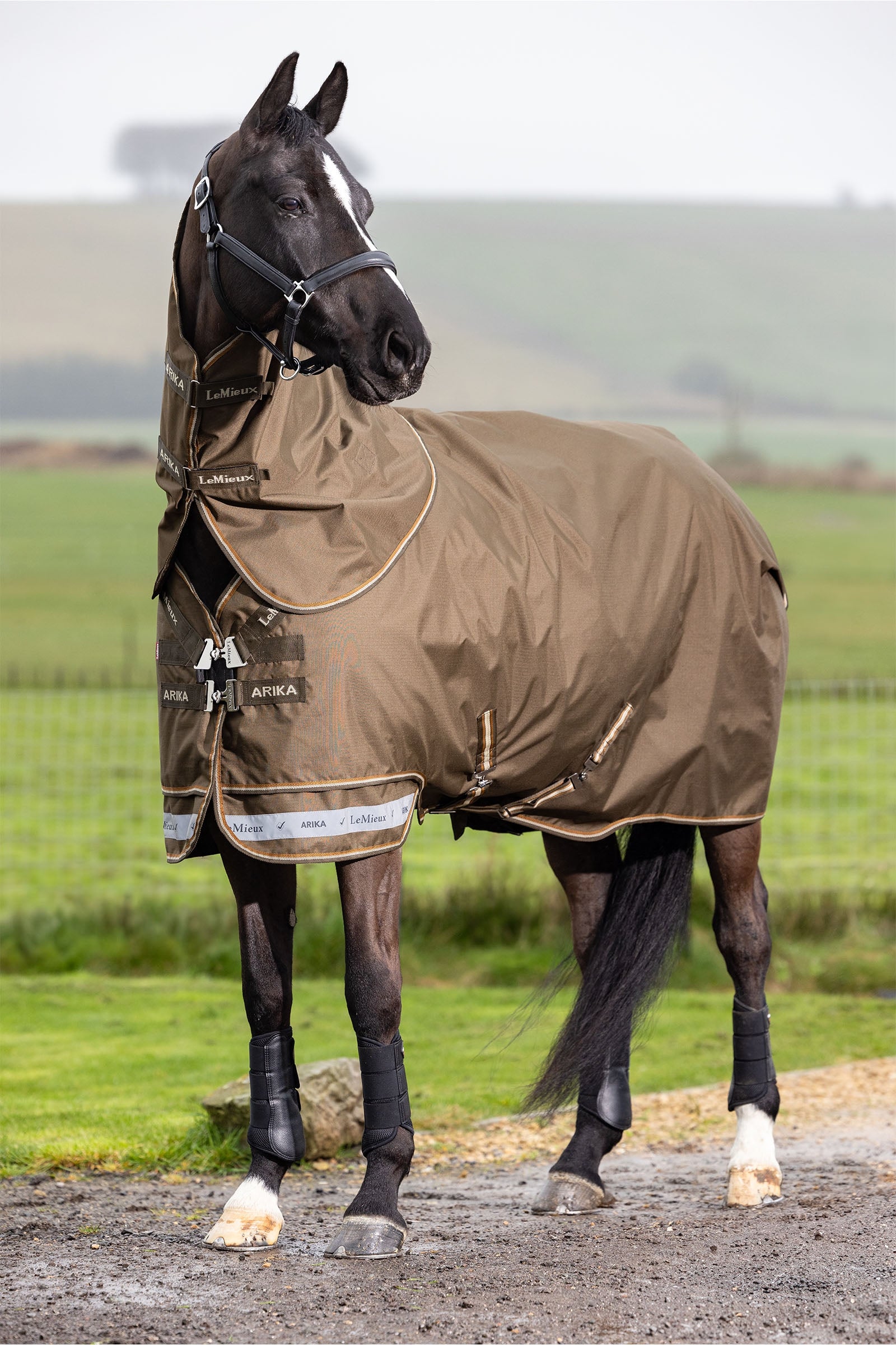 LeMieux Arika Ripstop Turnout Rug With Detachable Neck, 100 g Dekken