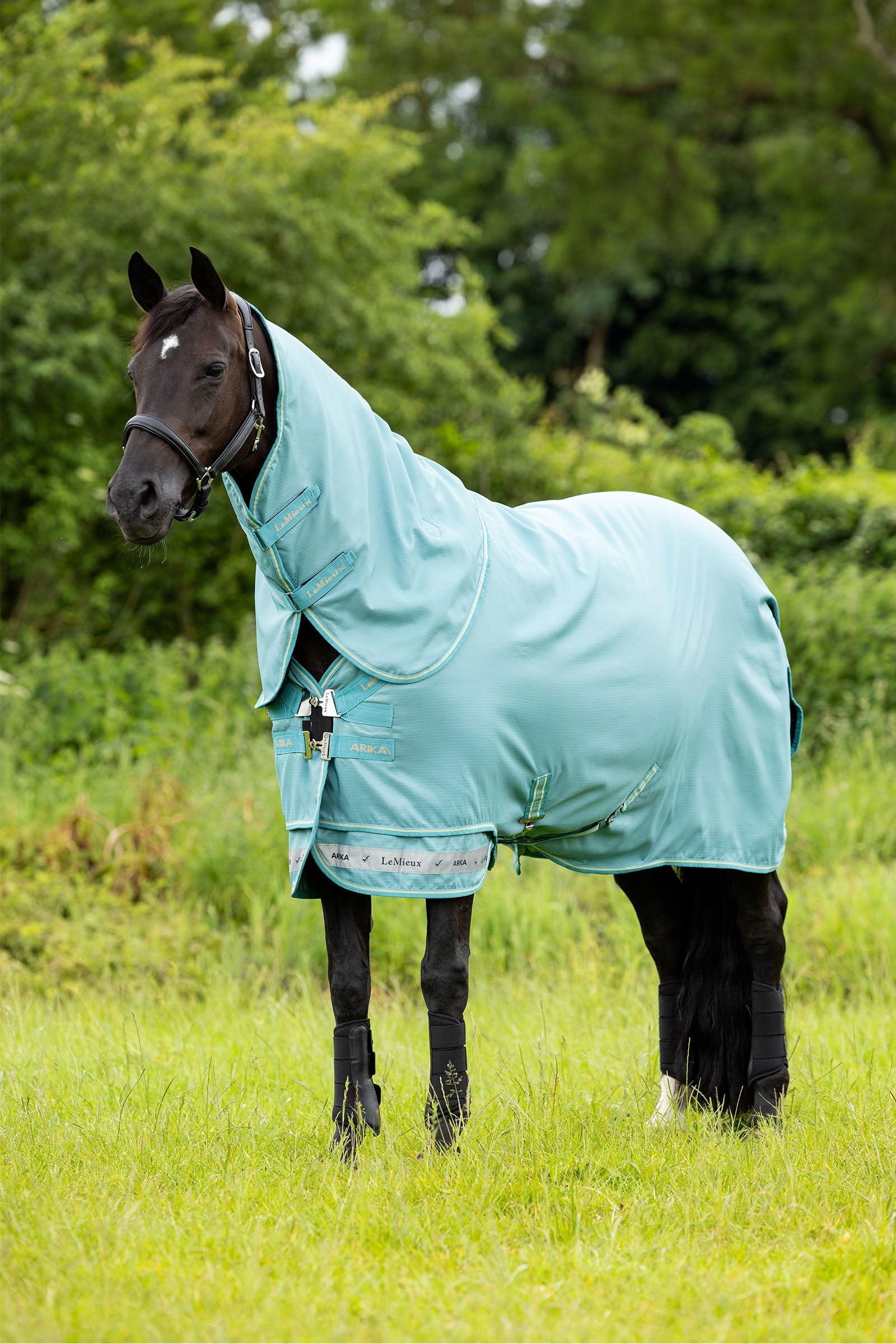 LeMieux Arika 600D Turnout Rug With Detachable Neck Part, 0g
Horse Rugs