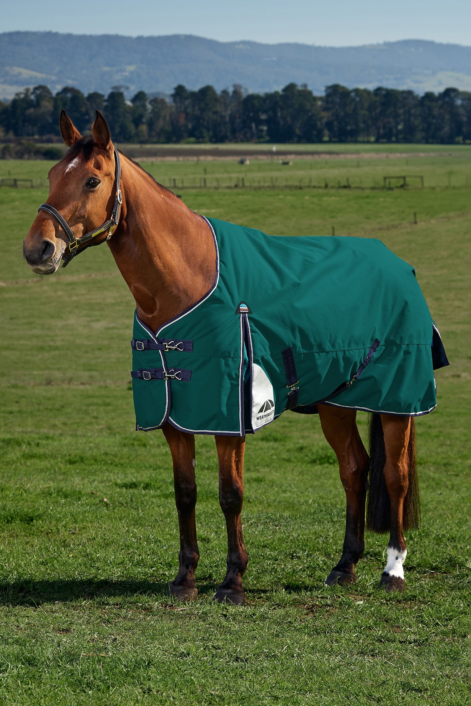 Weatherbeeta ComFiTecPlus Dynamic Turnout Detach-A-Neck 100G Dekken