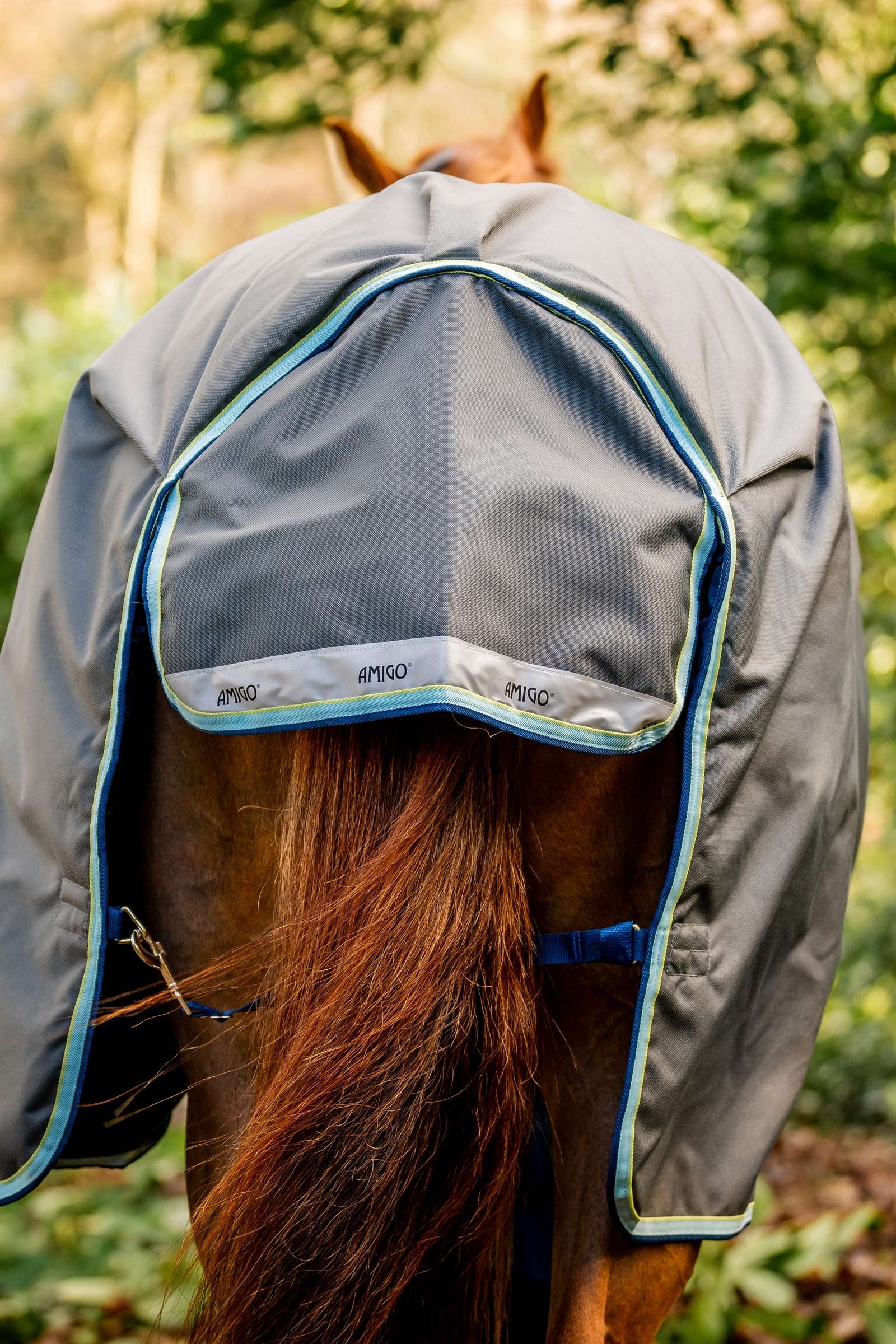 Horseware Amigo Bravo 12 Plus Turnout Rug With Detachable Neck, 400g Horse Rugs