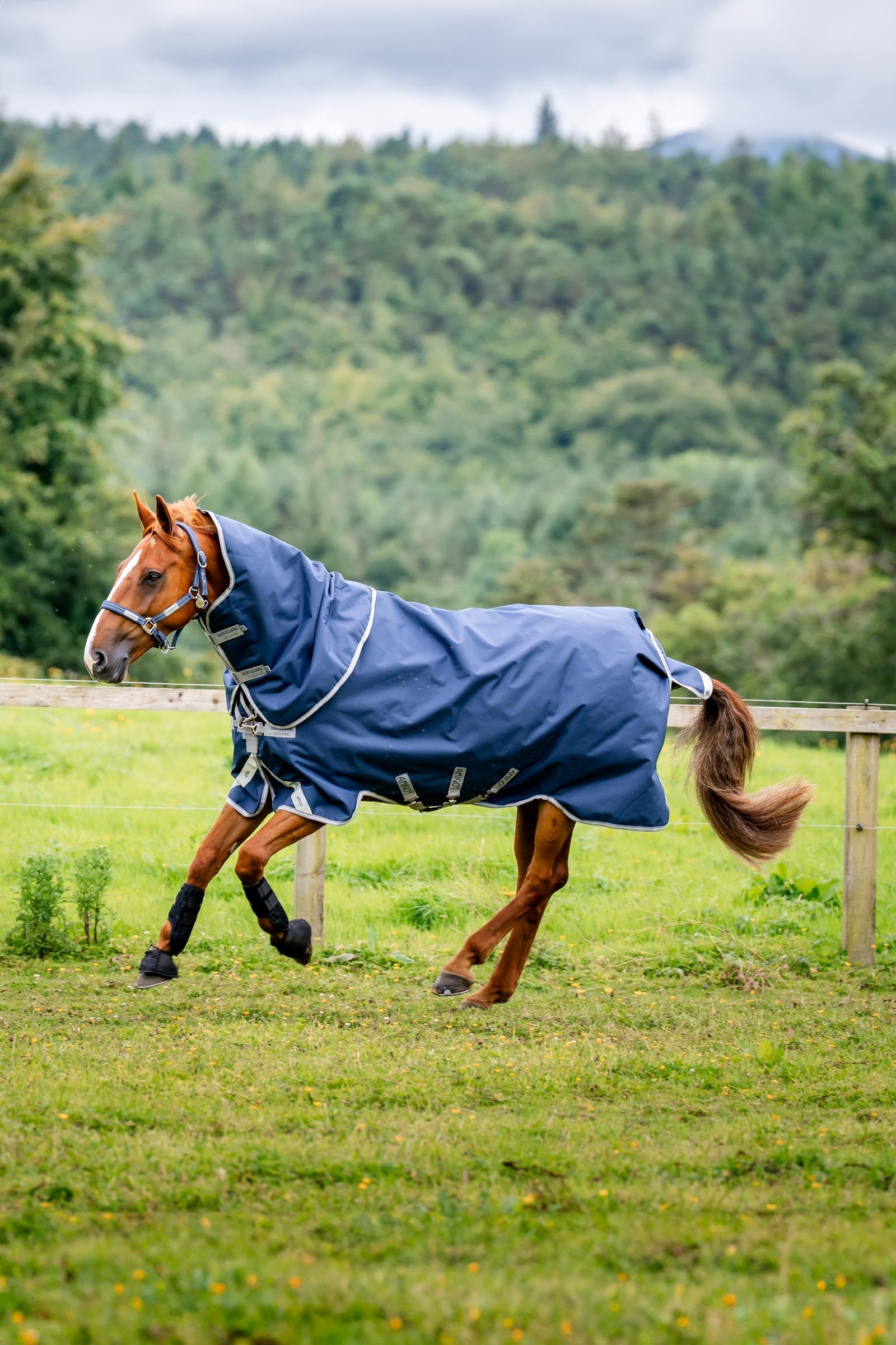 Horseware Amigo Bravo 12 Plus utedekken med avtakbar hals, 400g Dekken