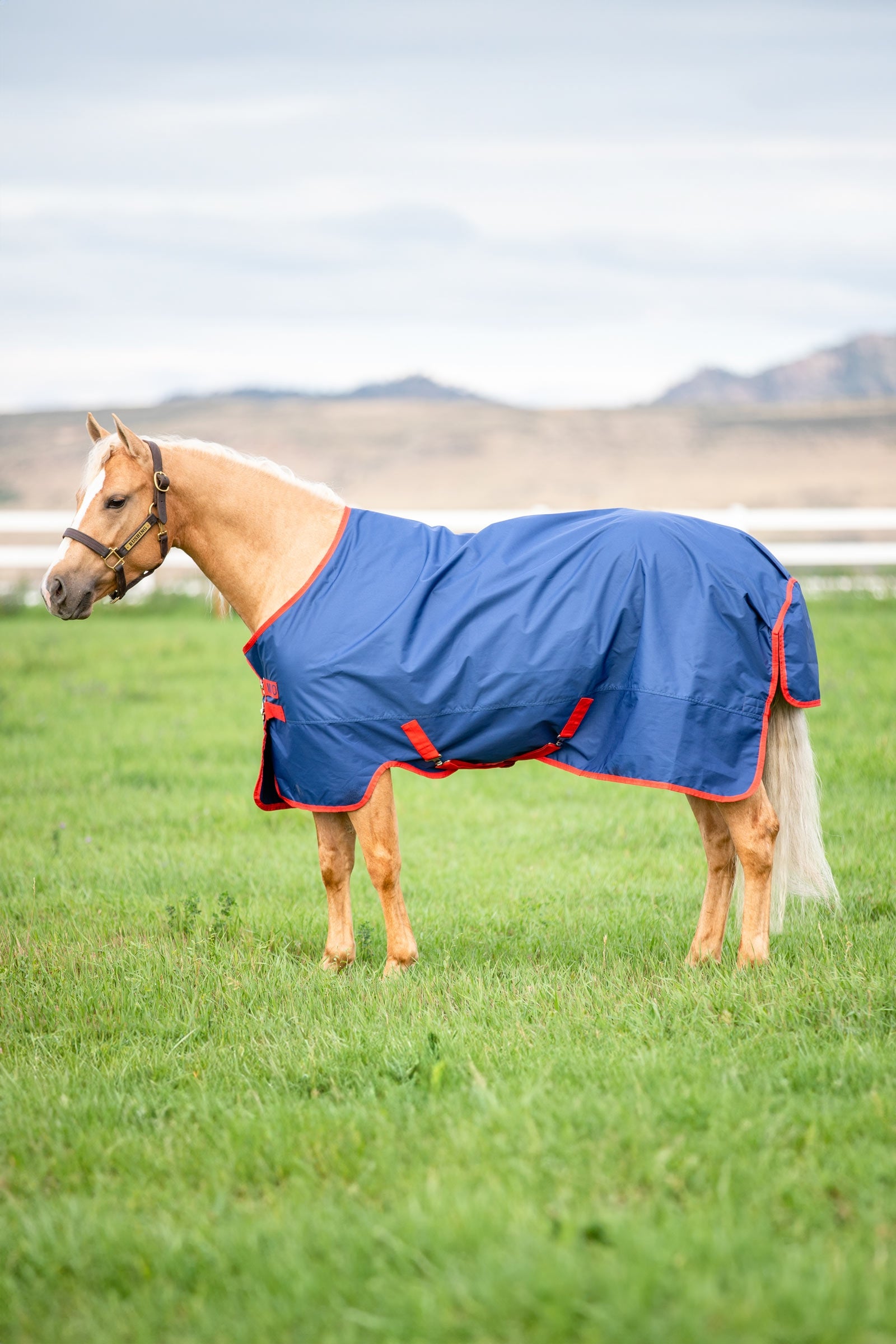 Horseware Mio utedekken, 200 g Dekken