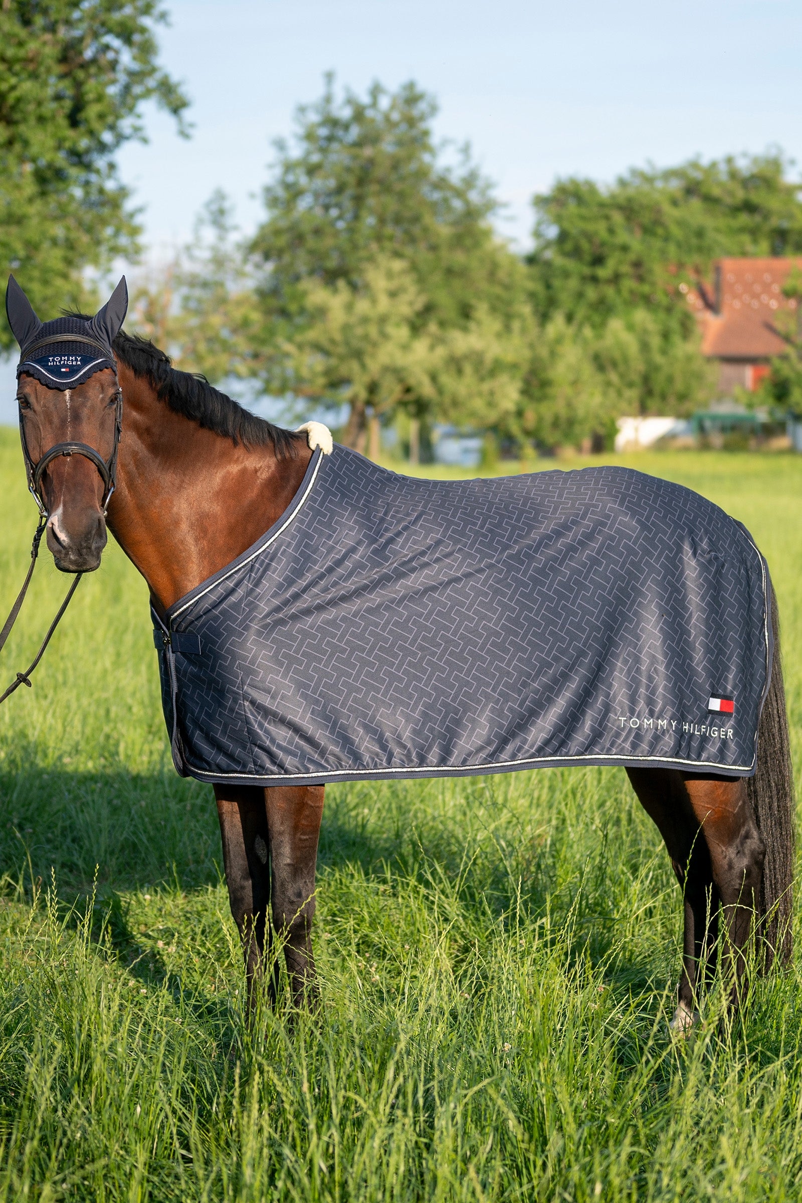 Tommy Hilfiger Equestrian Windsor Light & Dry Printed Rug Horse Rugs