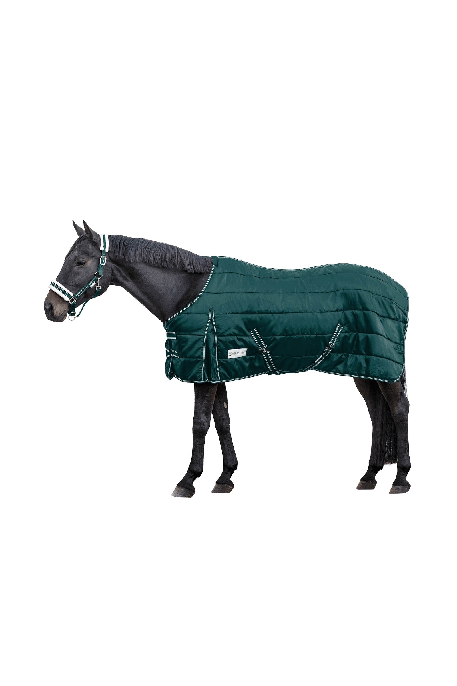 Waldhausen Stable Rug Economic 300 g Horse Rugs