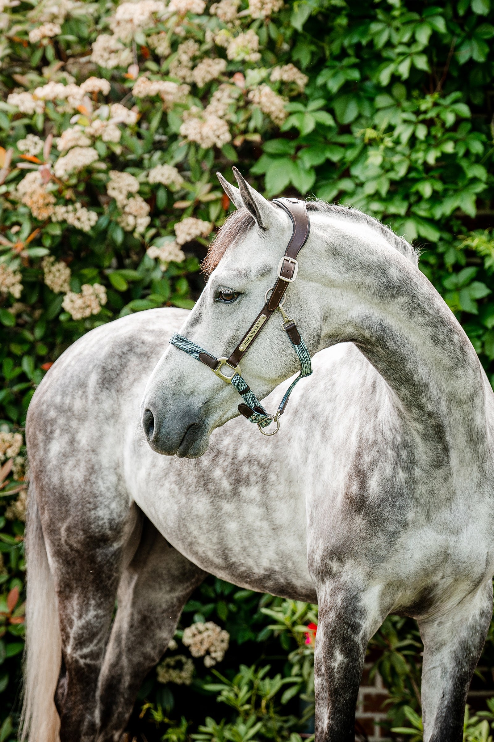 Horseware Signature flettet grime Grimer og leietau