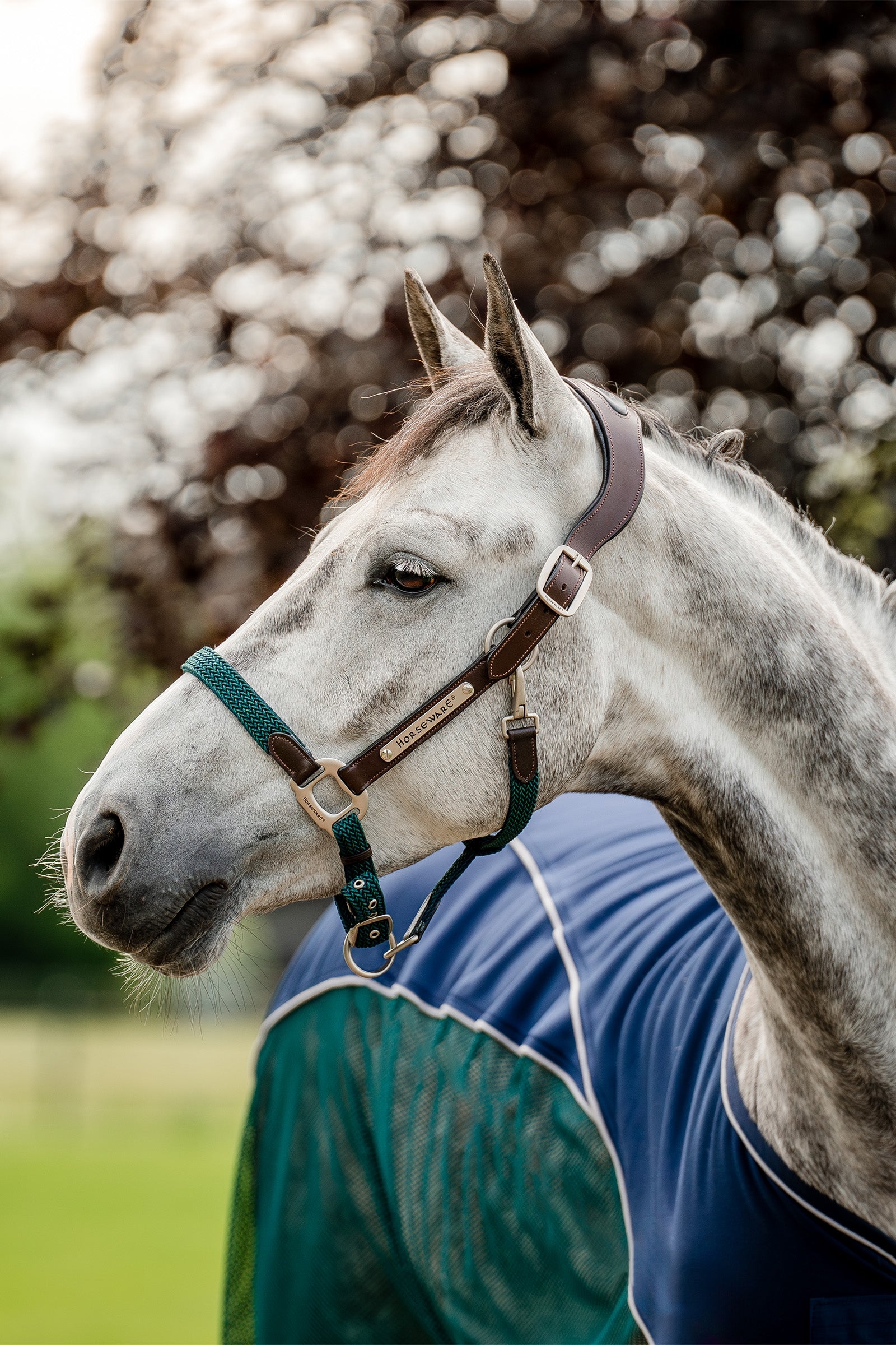 Horseware Signature Braided Headcollar Halters & Leads