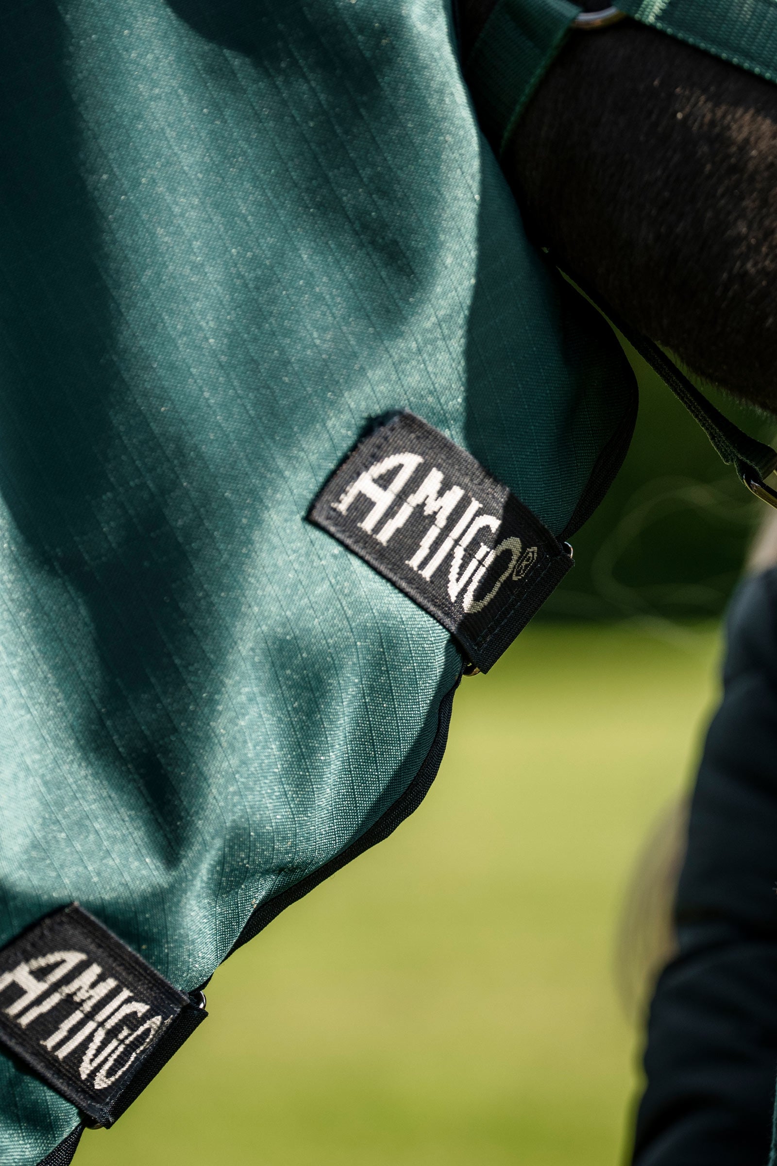 Horseware Amigo Ripstop 900D Plus Pony Turnout Rug, 200 g Horse Rugs