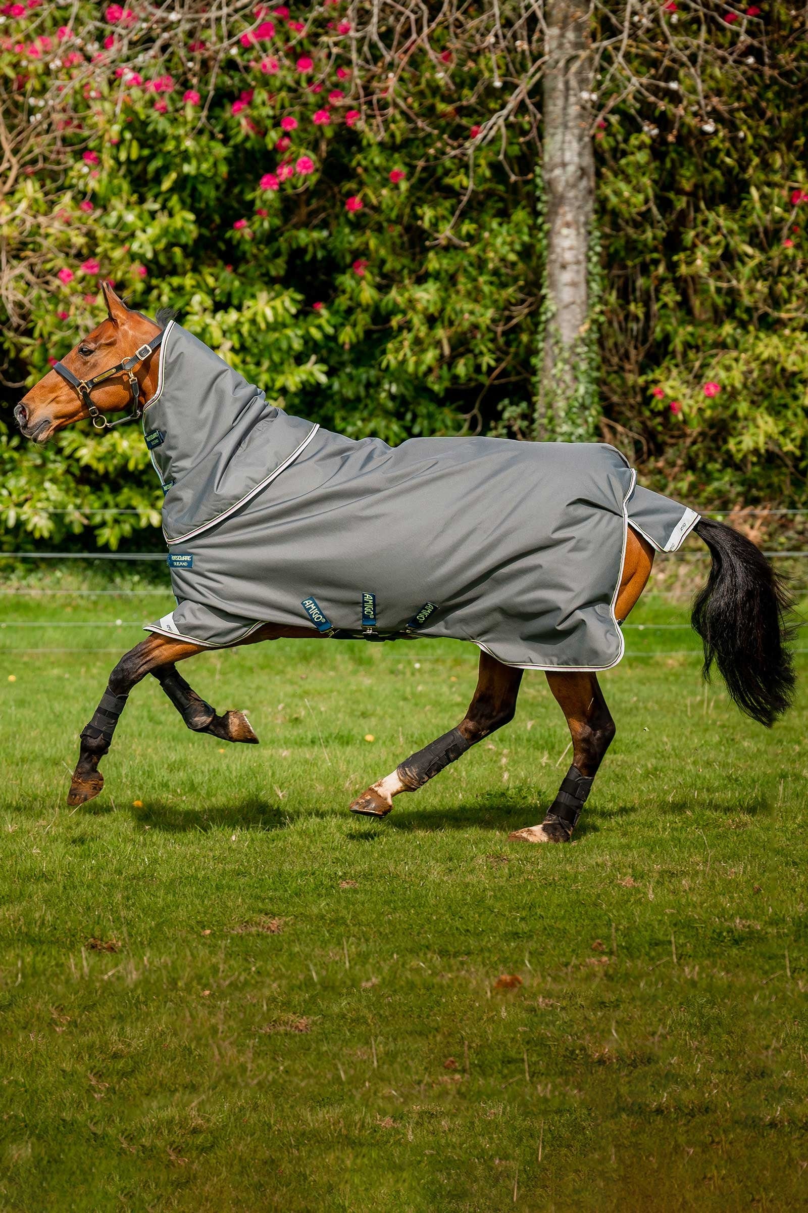 Horseware Amigo Bravo 12 Plus Turnout Rug, 250 g Horse Rugs