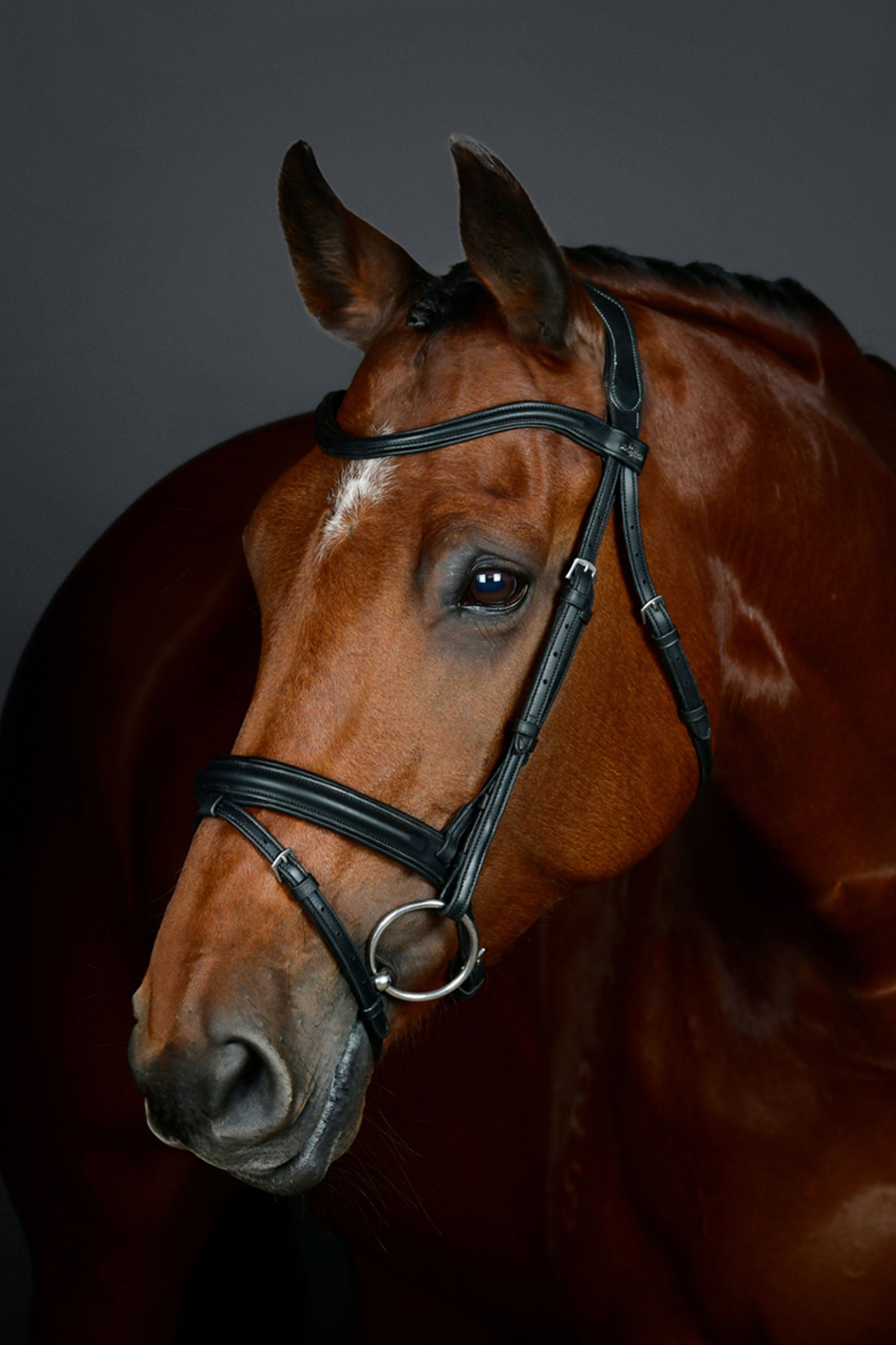 Collegiate Comfitec Opulux enkel, polstret hodelag med kombinert hannoveransk nesereim Hodelag & Tøyler