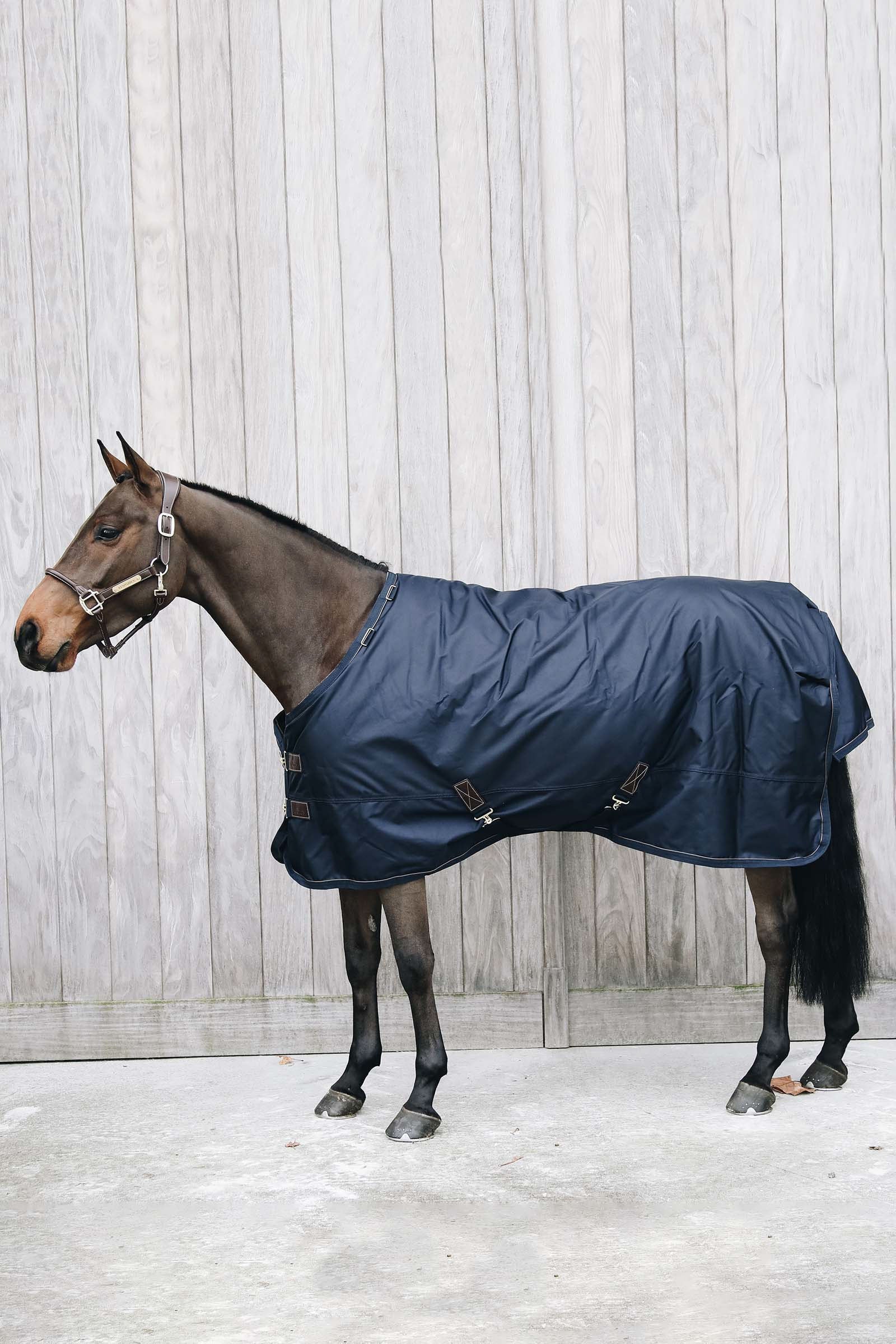 Kentucky Horsewear All Weather Waterproof Pro utedekken, 0 gram Dekken