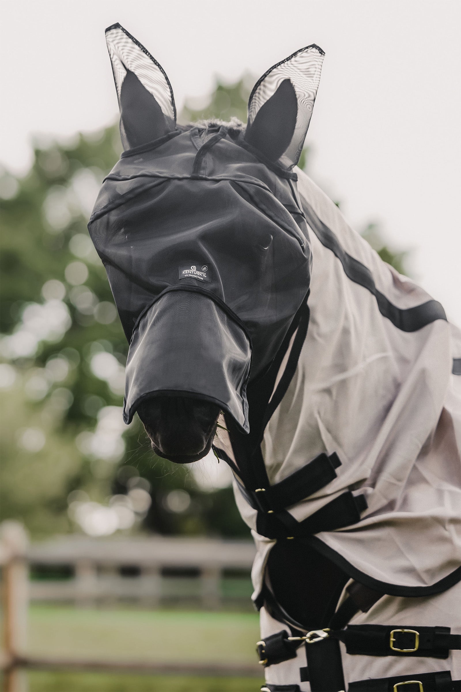 Kentucky Horsewear Classic fluemaske med ører og nesebeskytter Fluebeskyttelse til hest