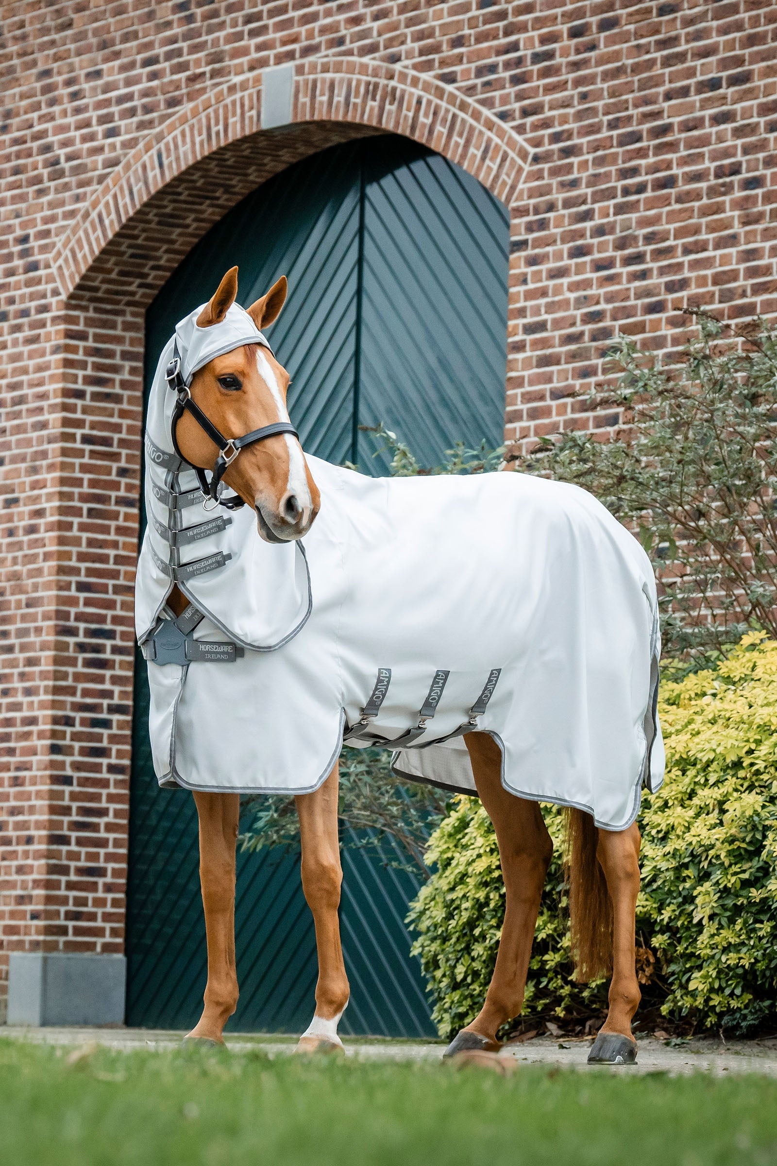 Horseware Amigo Ripstop Fluedekken Dekken