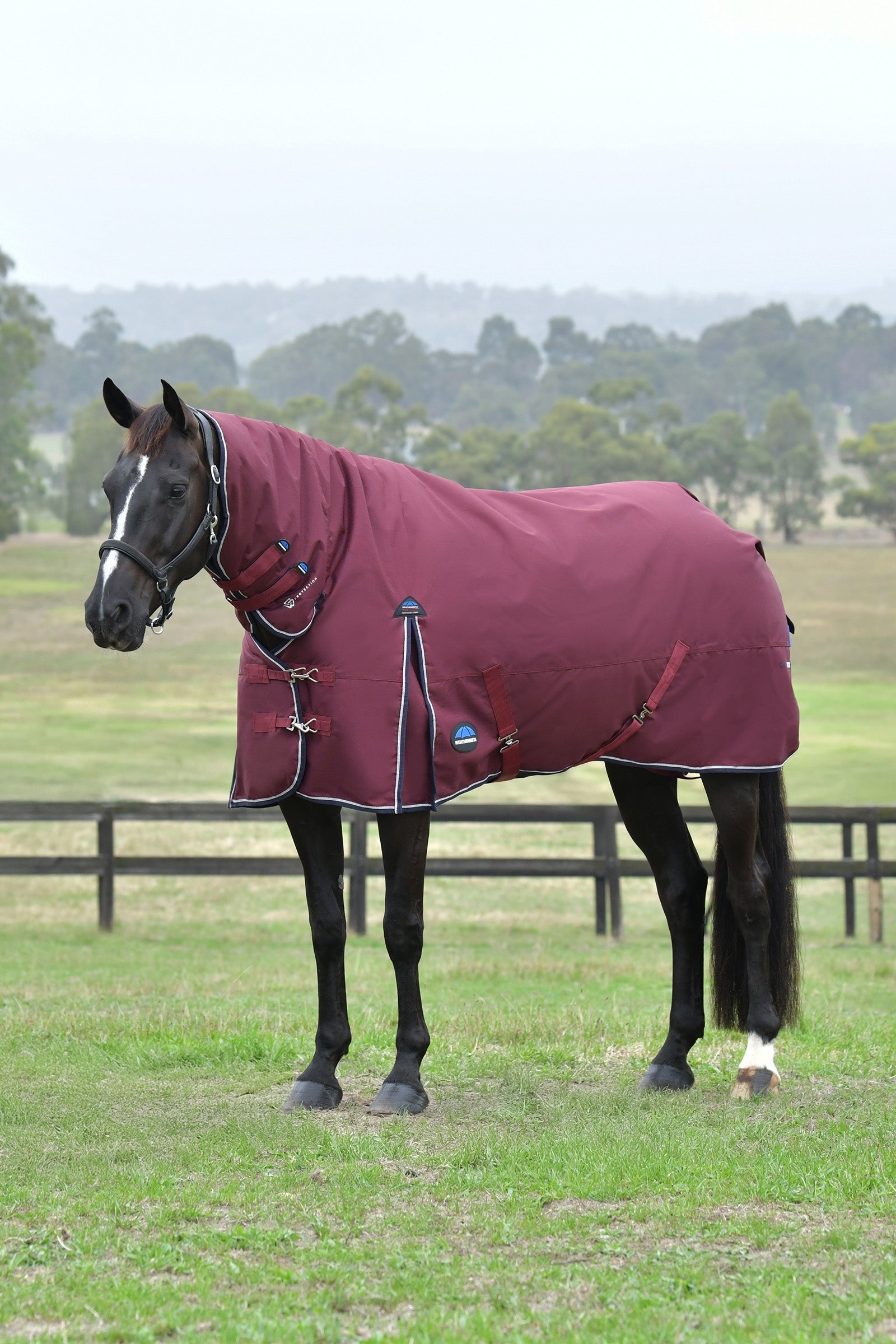 Weatherbeeta Comfitec Essential Turnout Rug With Fixed Neck, 220g Horse Rugs