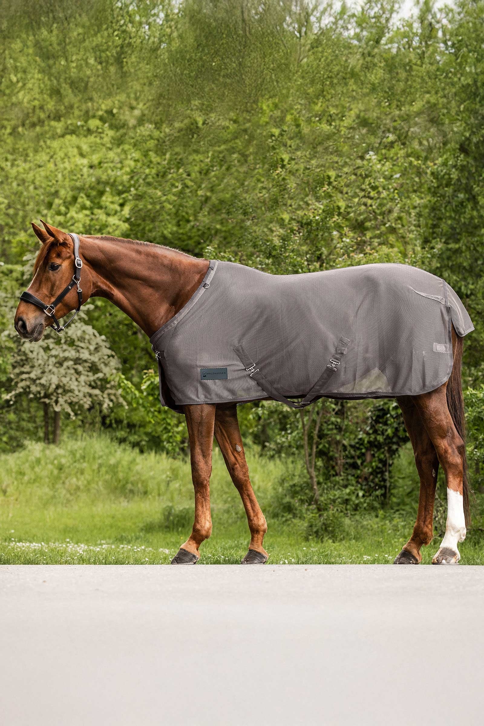 Waldhausen Comfort fluedekken Dekken