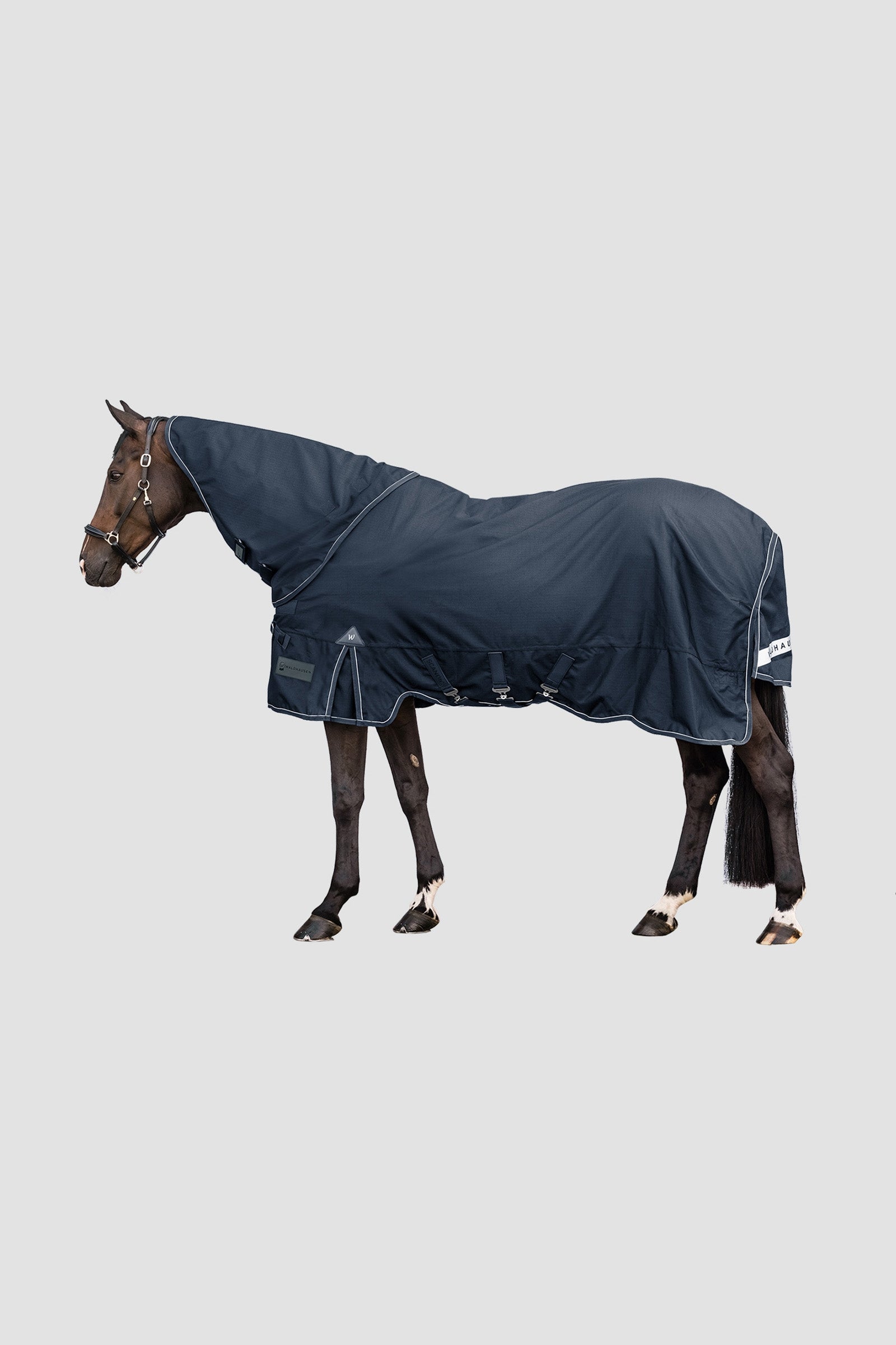 Waldhausen Outdoor Neck Rug Scandic 200 g Horse Rugs