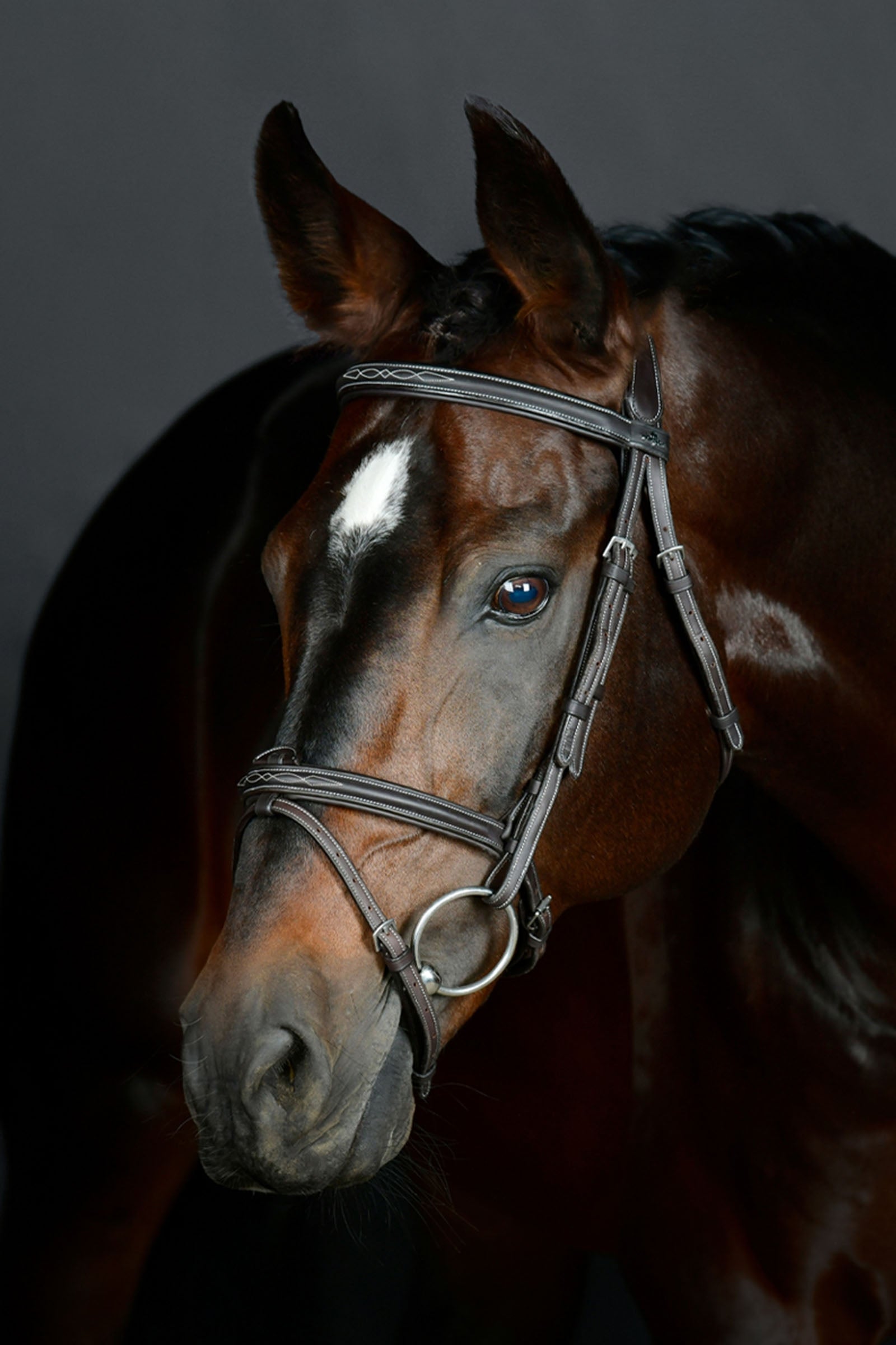 Collegiate Comfitec Opulux Fancy Stitch Padded Hanoverian Bridle Bridles & Reins