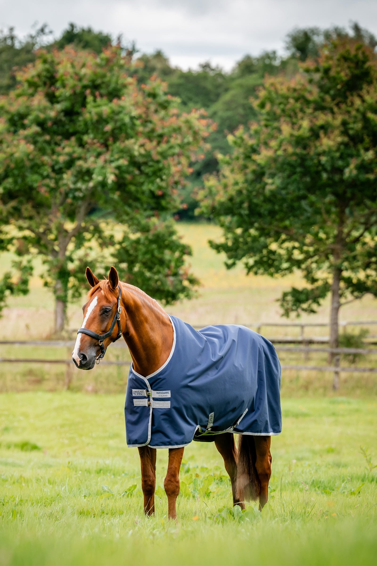 Horseware Amigo Ripstop Utedekken 900D, 0g Dekken