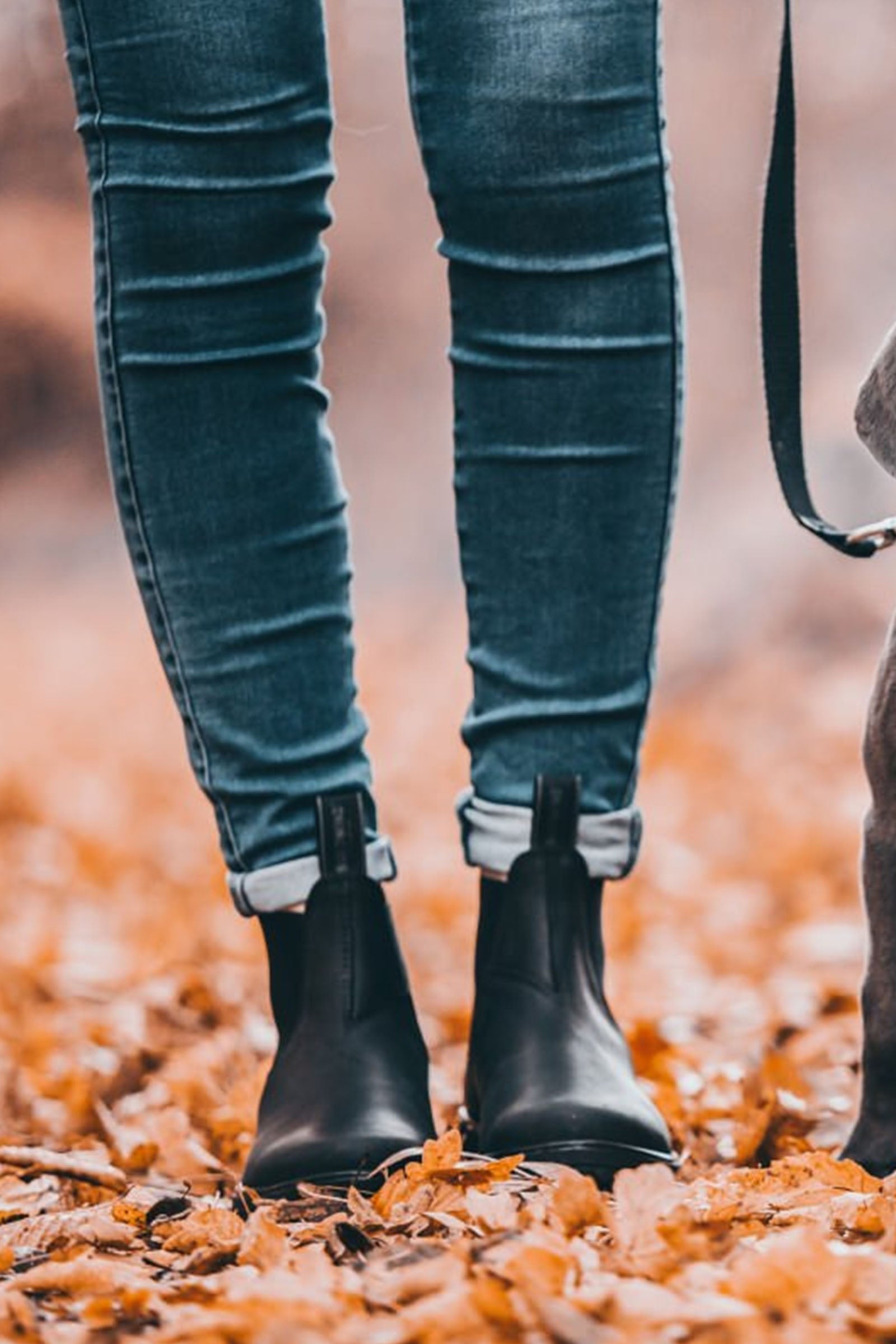 Suedwind Footwear 1888 Chelsea Jodhpur Boots Riding Boots & Riding Shoes