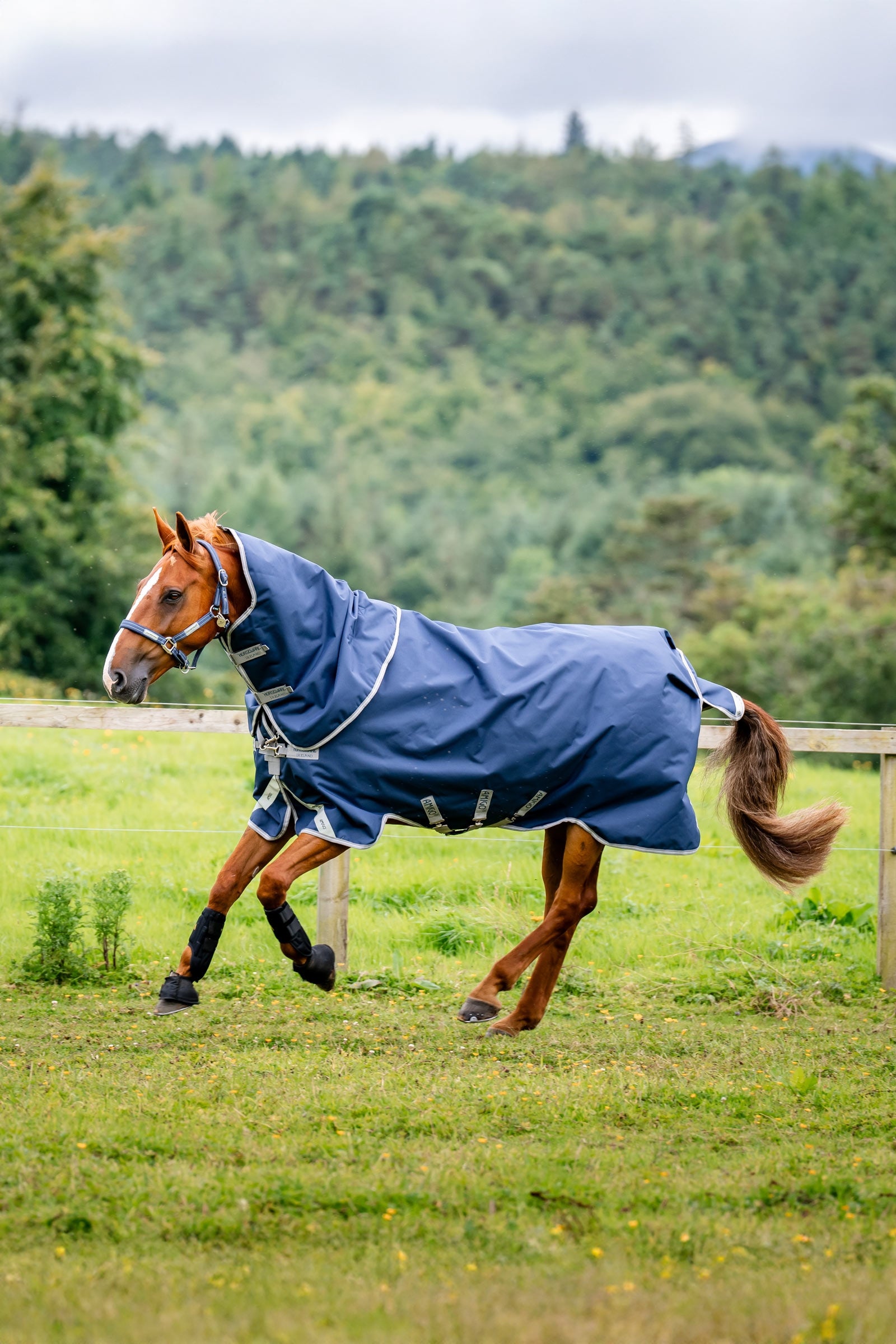Horseware Amigo 1200D Plus utetäcke, 250 g Dekken